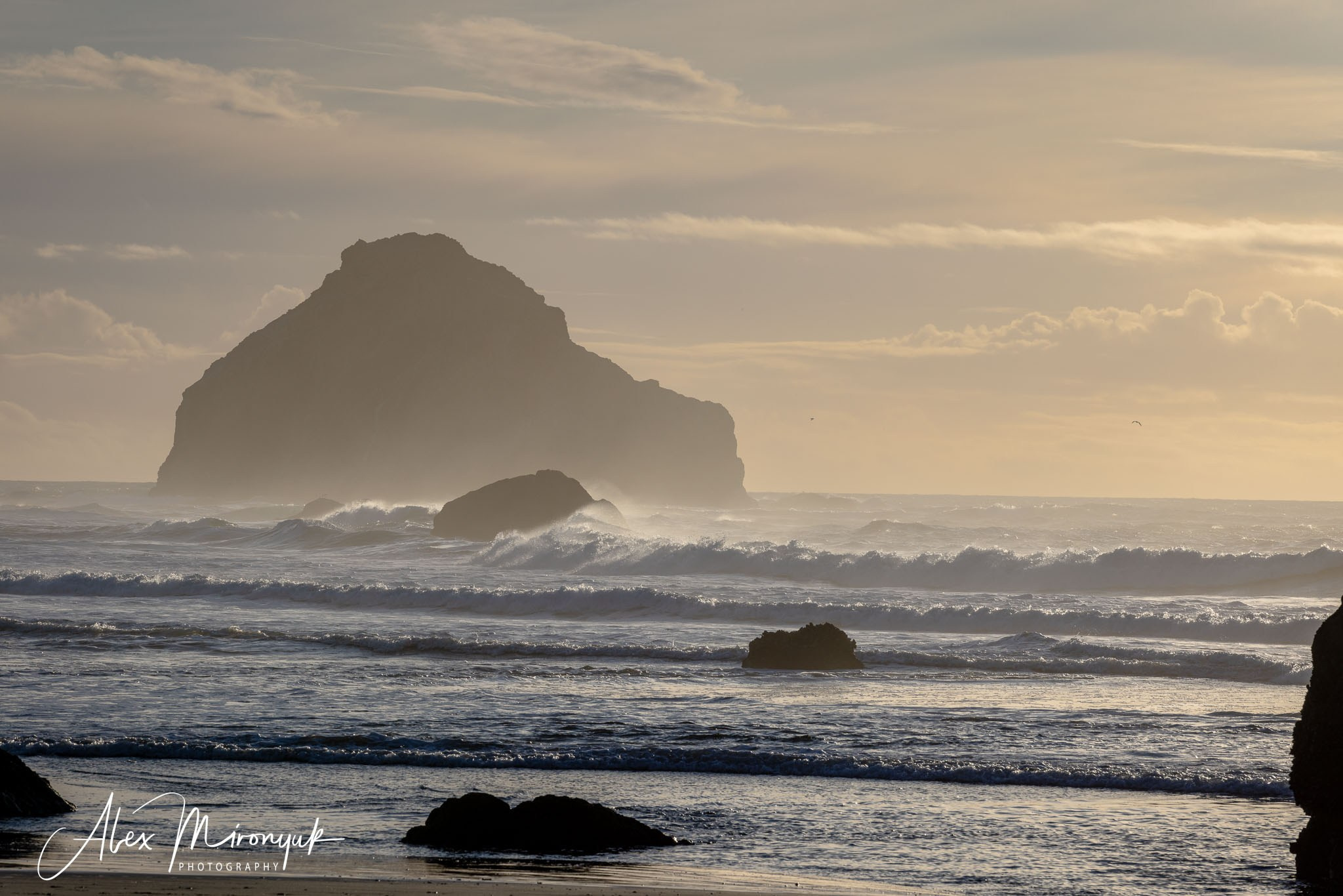 Oregon Coast Photo Workshop. Pet, Senior, Landscape, portrait studio, photographer in Miami and Sou