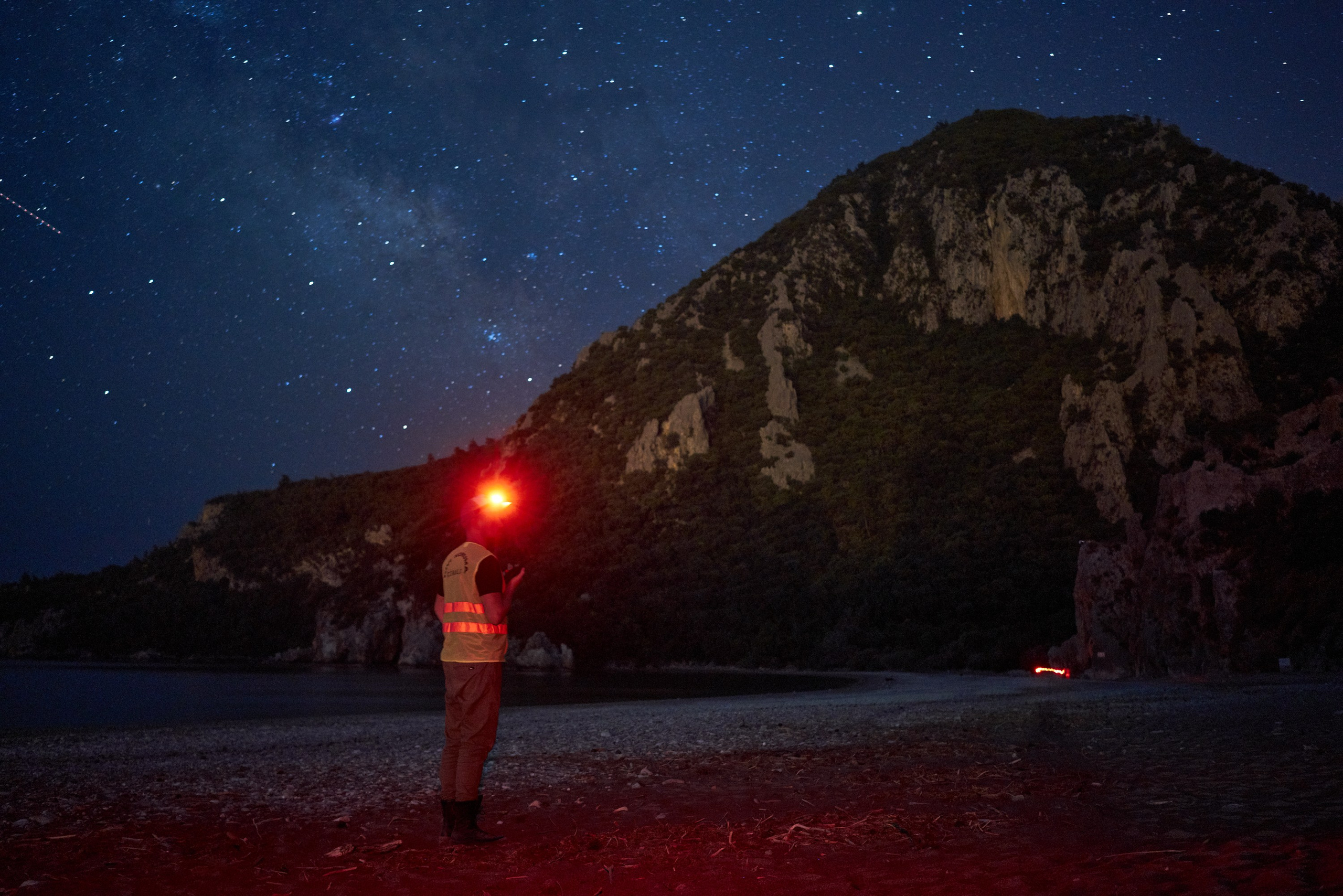 Caretta caretta | Anastasiia Nelen photographer