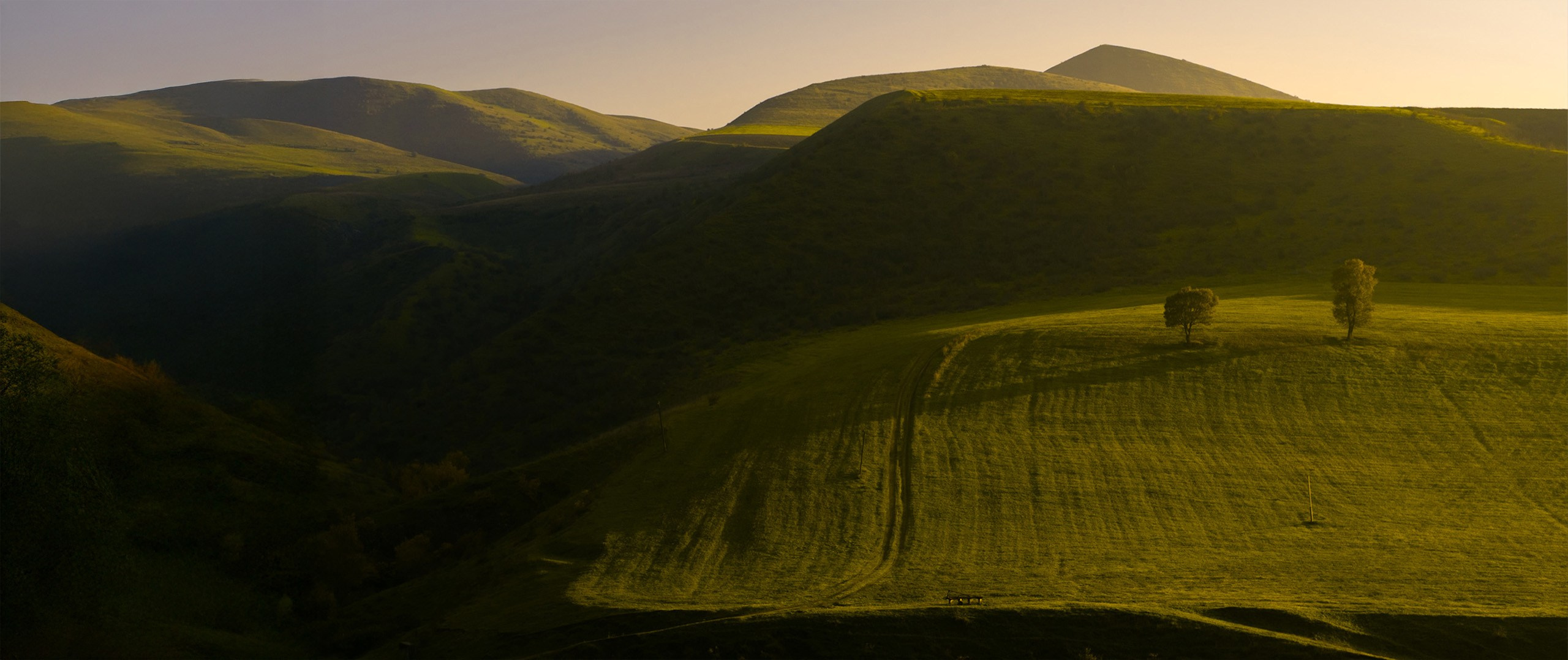 Təbiət Fotoqrafiyası və Portret Çəkilişləri. Bakıda Peşəkar Tədbir, Love Story və Təbiət Fotoqrafı — Elşən Baba