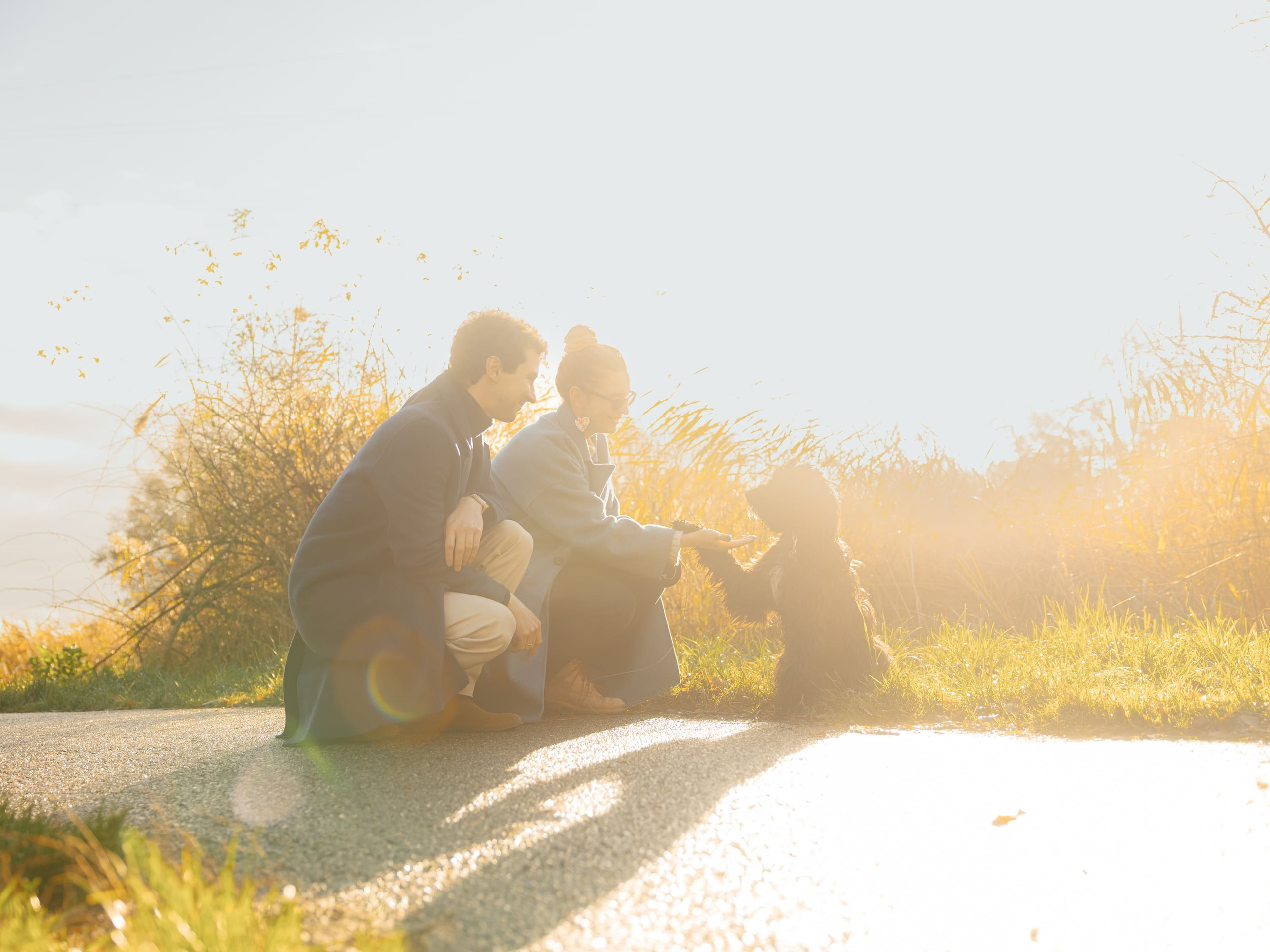 Dog & Cat Photographer Rotterdam | Natalia Olhova. Romantic & Soulful Photography by Natalia Olhova in Rotterdam