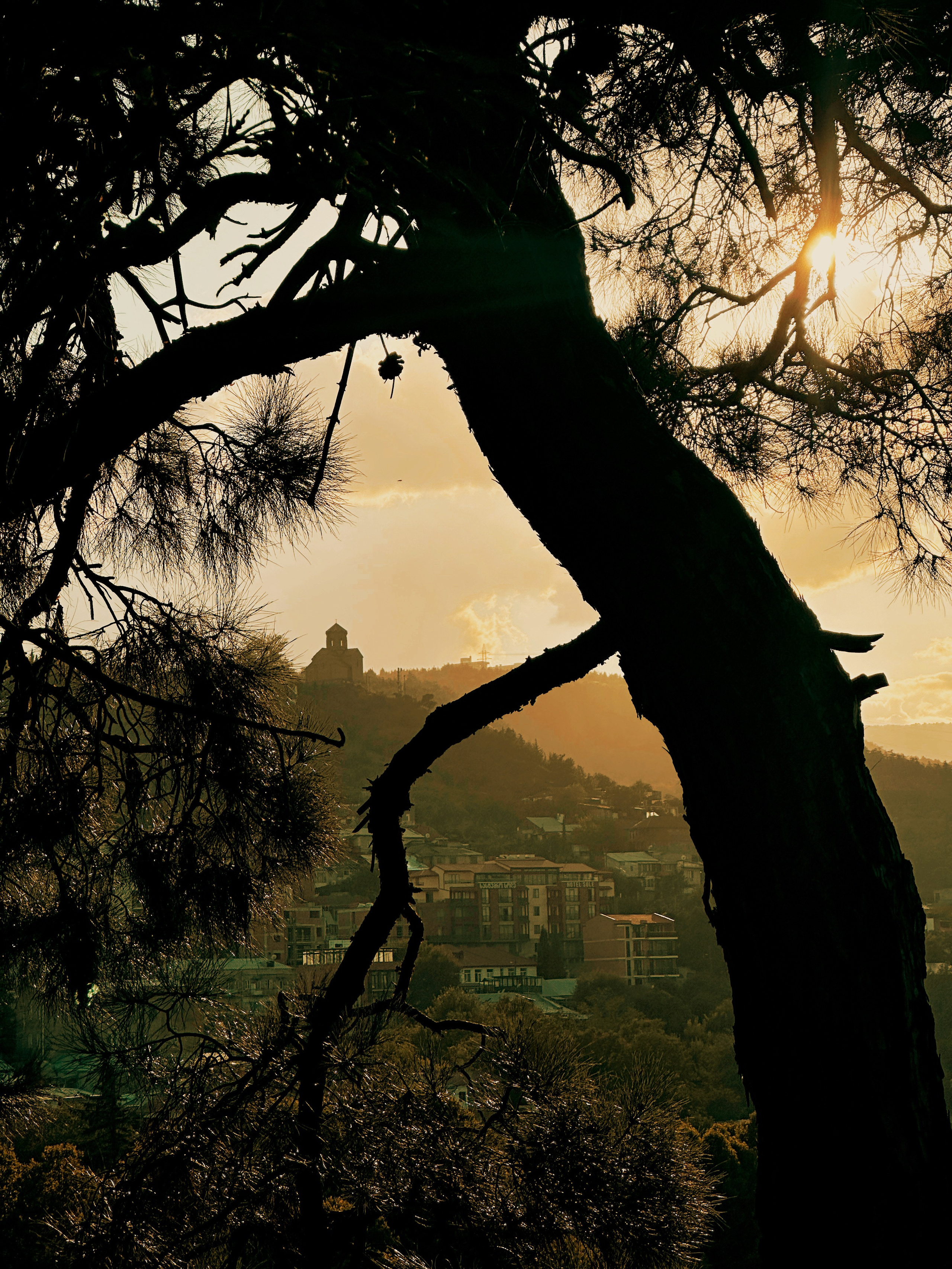 Tbilisi. Ekaterina Verbitskaya. Photography