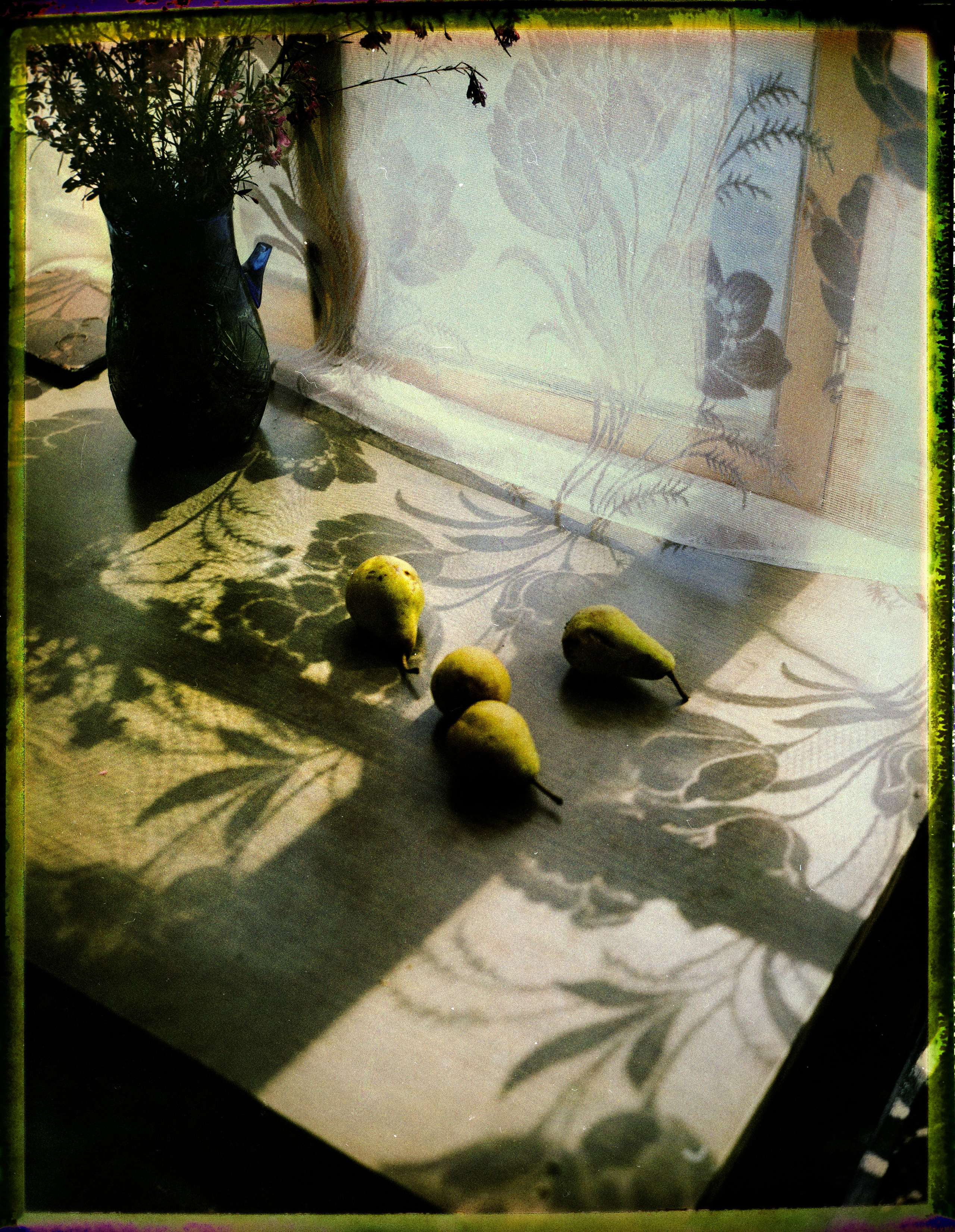 POLAROID. Www.sananaleskerov.com