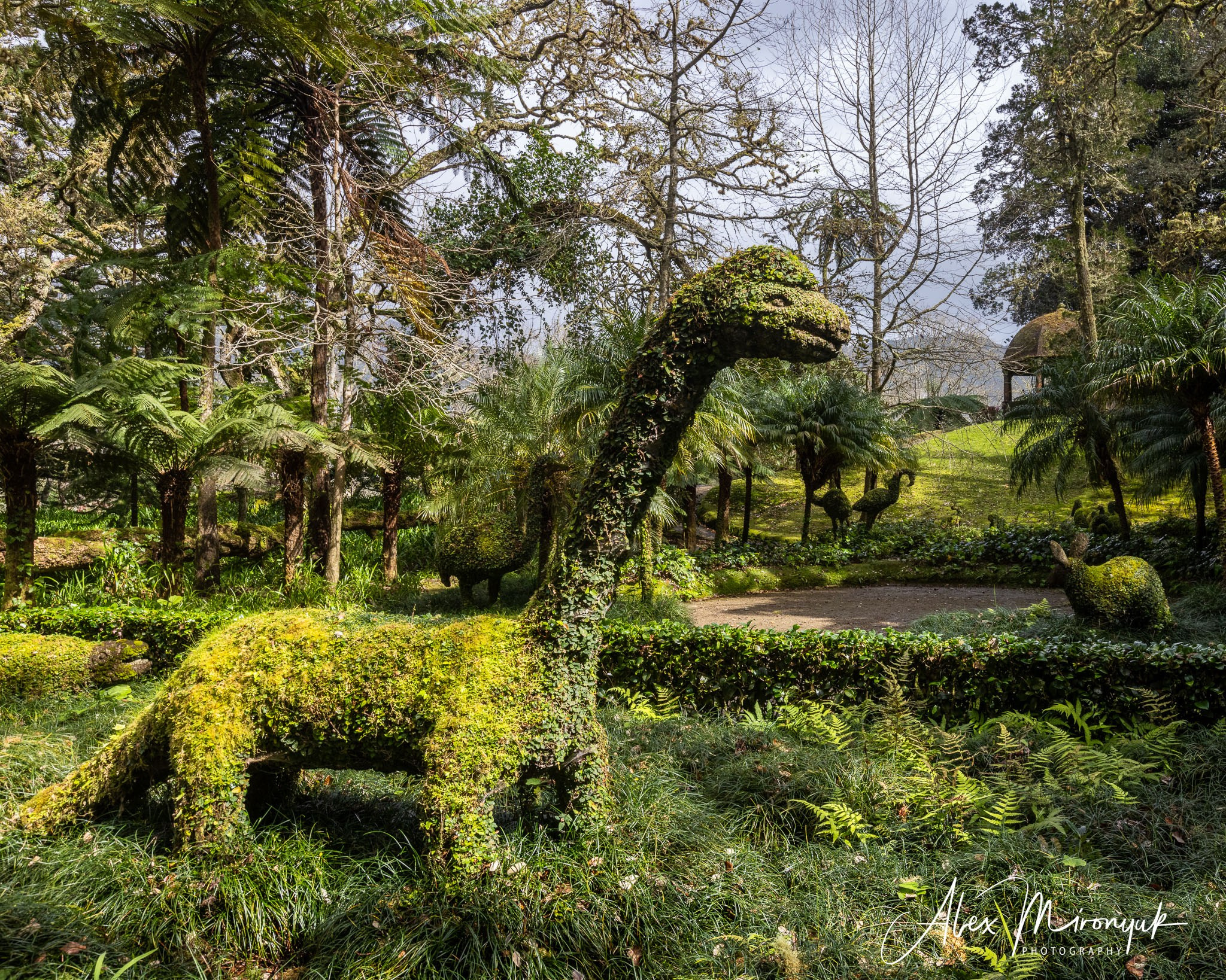 Azores And Madeira. Alex Mironyuk Photography