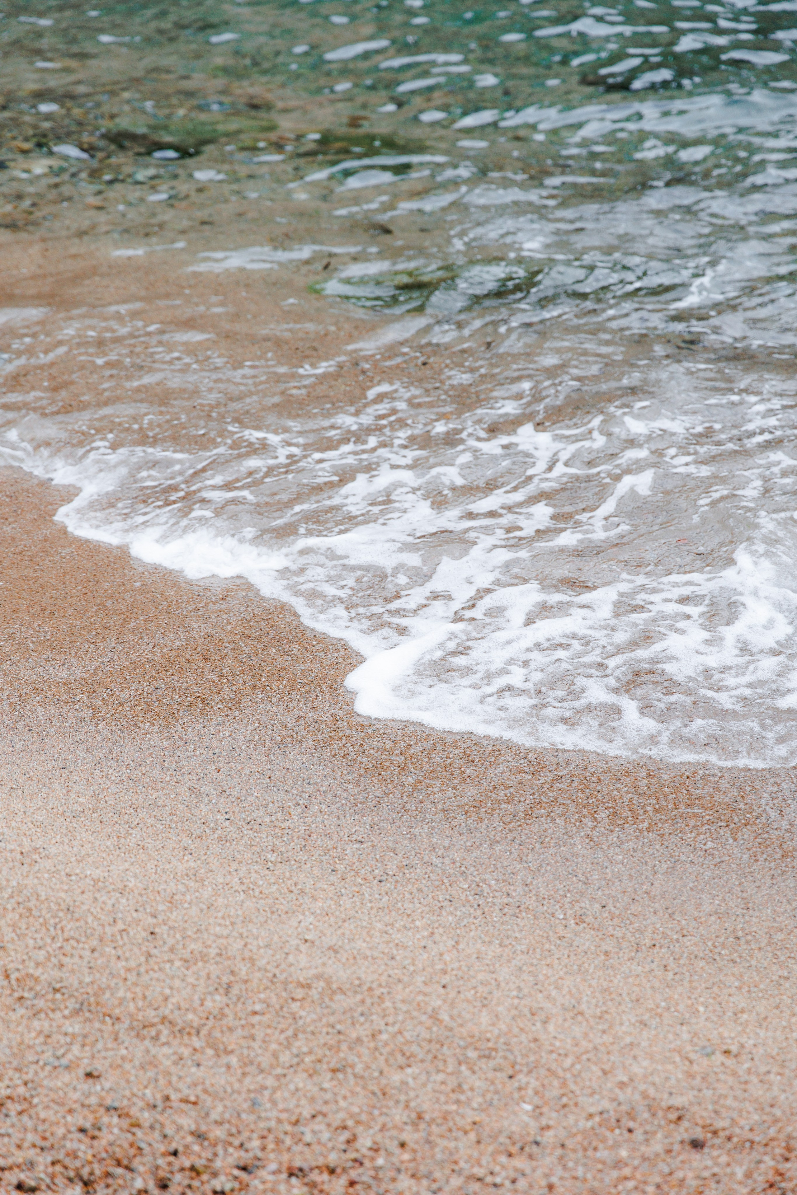 Wedding in Costa Brava. Wedding Photographer in Barcelona Lana Alekhina