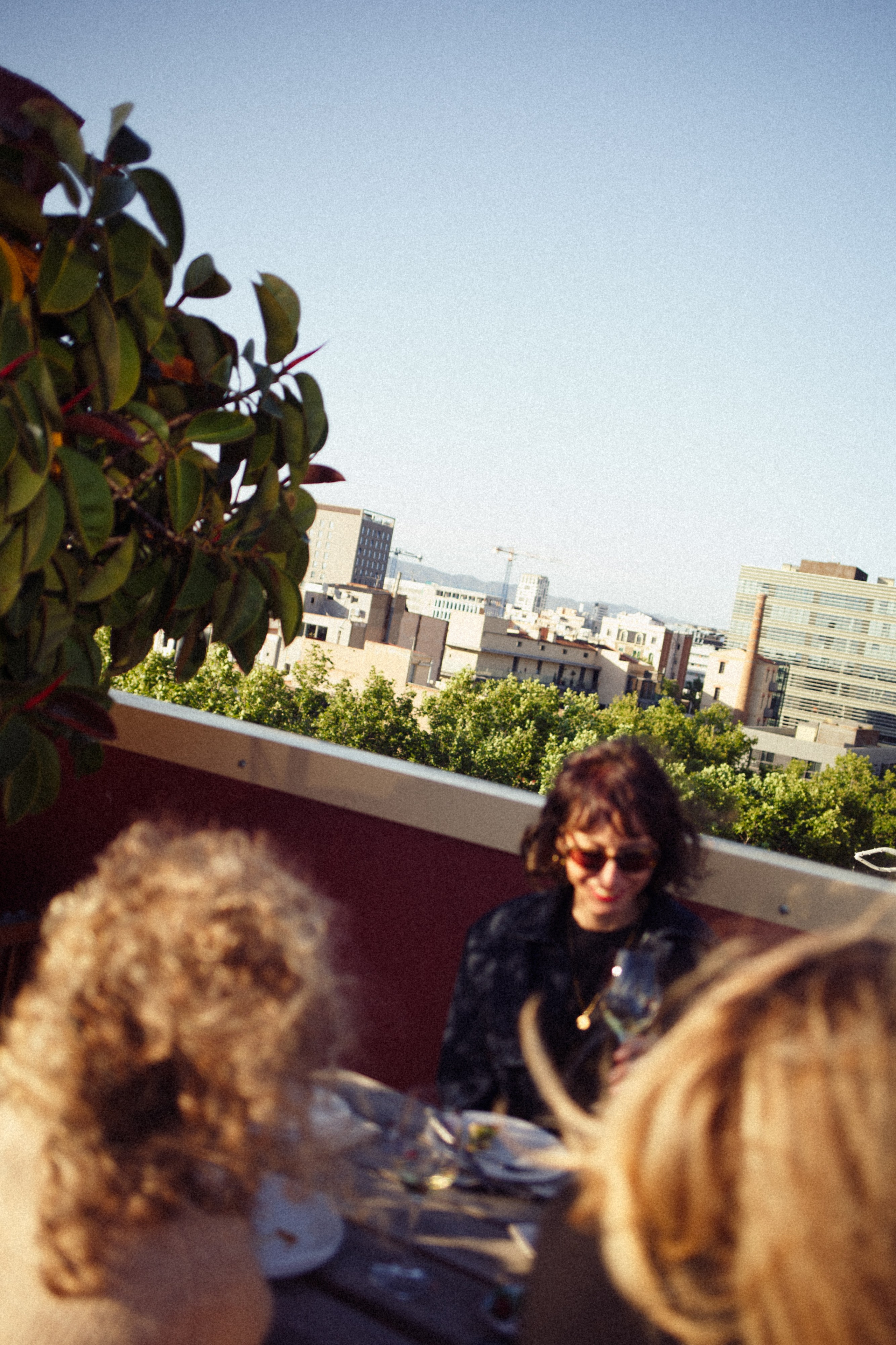 Sweet wines ideal for lighthearted gatherings and refined tastes