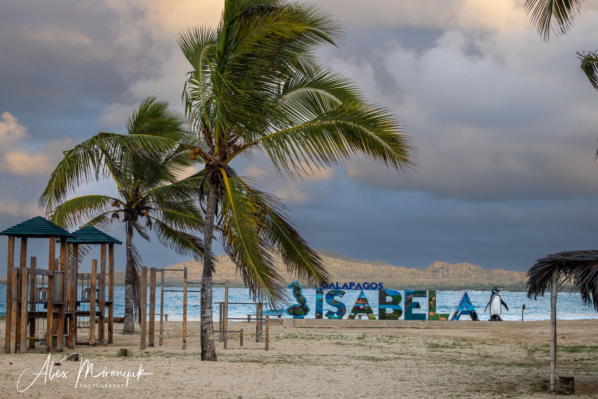 Galapagos Islands Adventure. Alex Mironyuk Photography