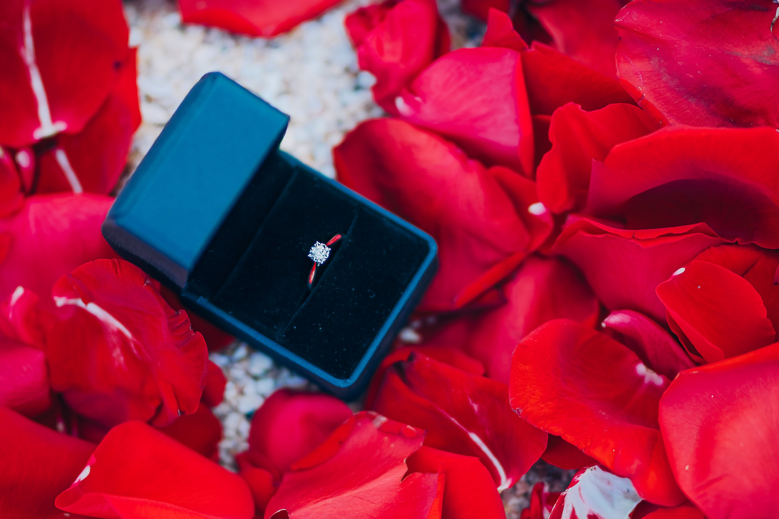 Will you merry me?. Фотограф у Пальма де Майорка