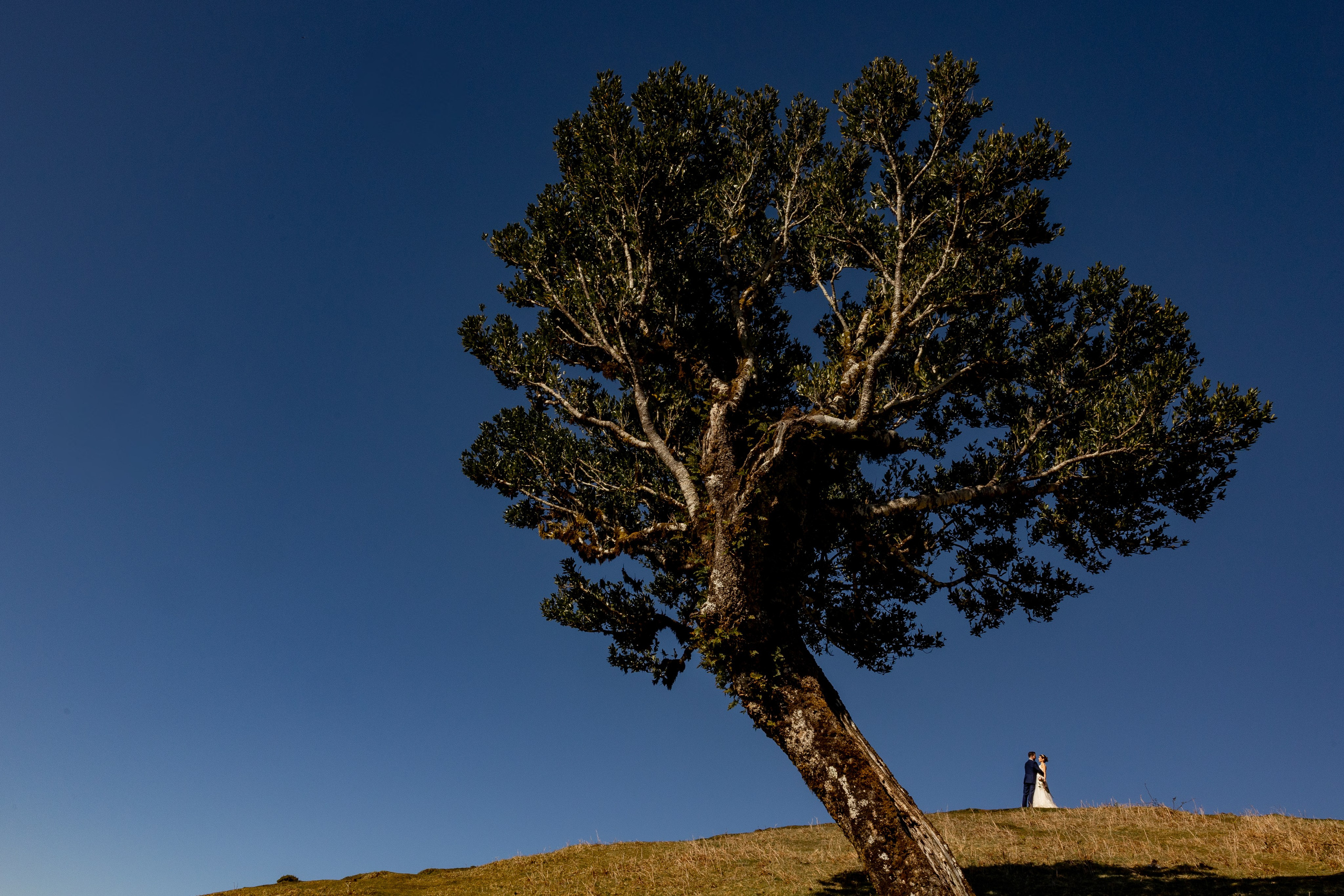 Madeira Elopement Photoshoot | Romantic Couple Session in Madeira Island. Lisbon Wedding Photographer | Elegant Wedding Storytelling