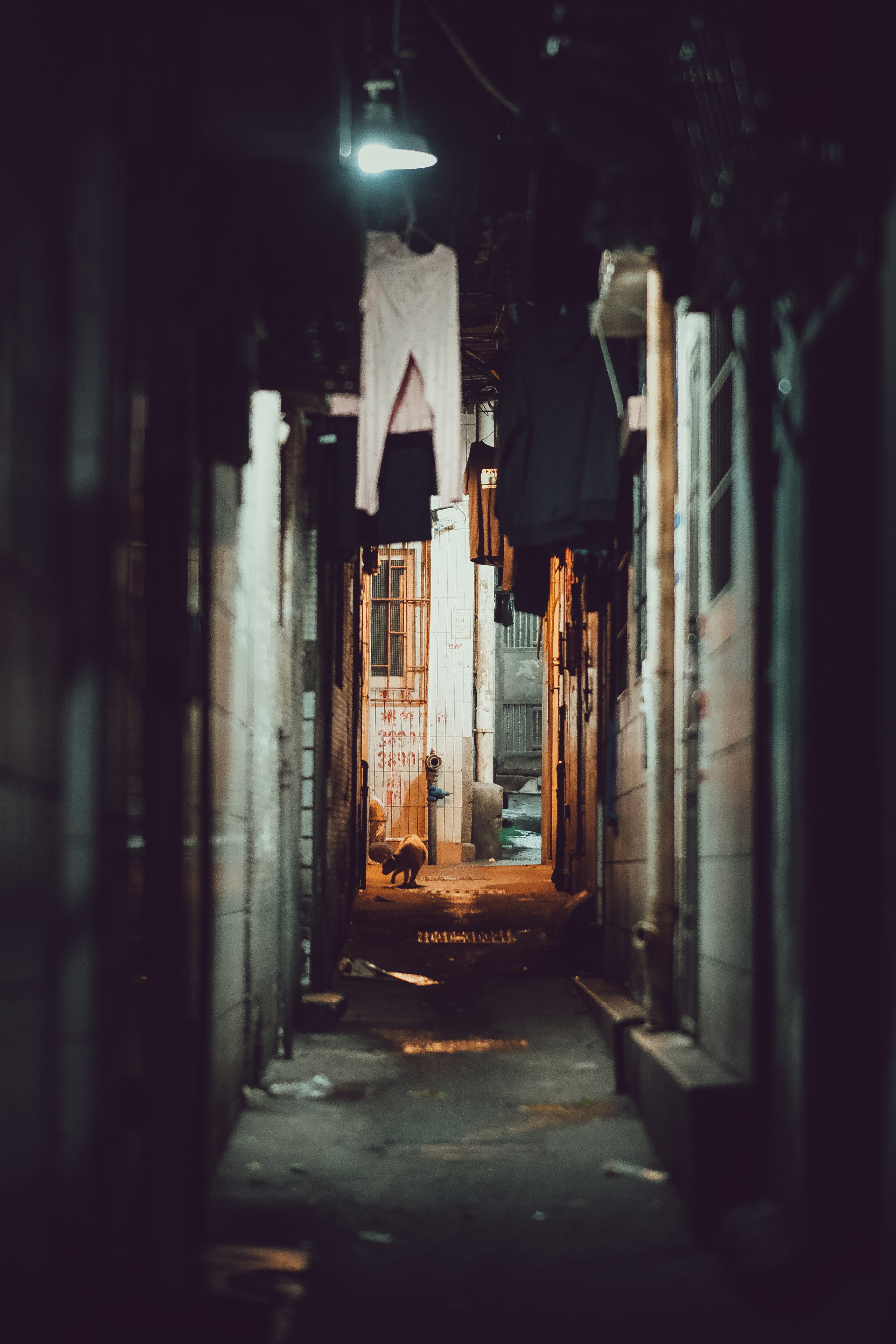 Chinatown Guangzhou City | 广州 🇨🇳 | China Street Photography