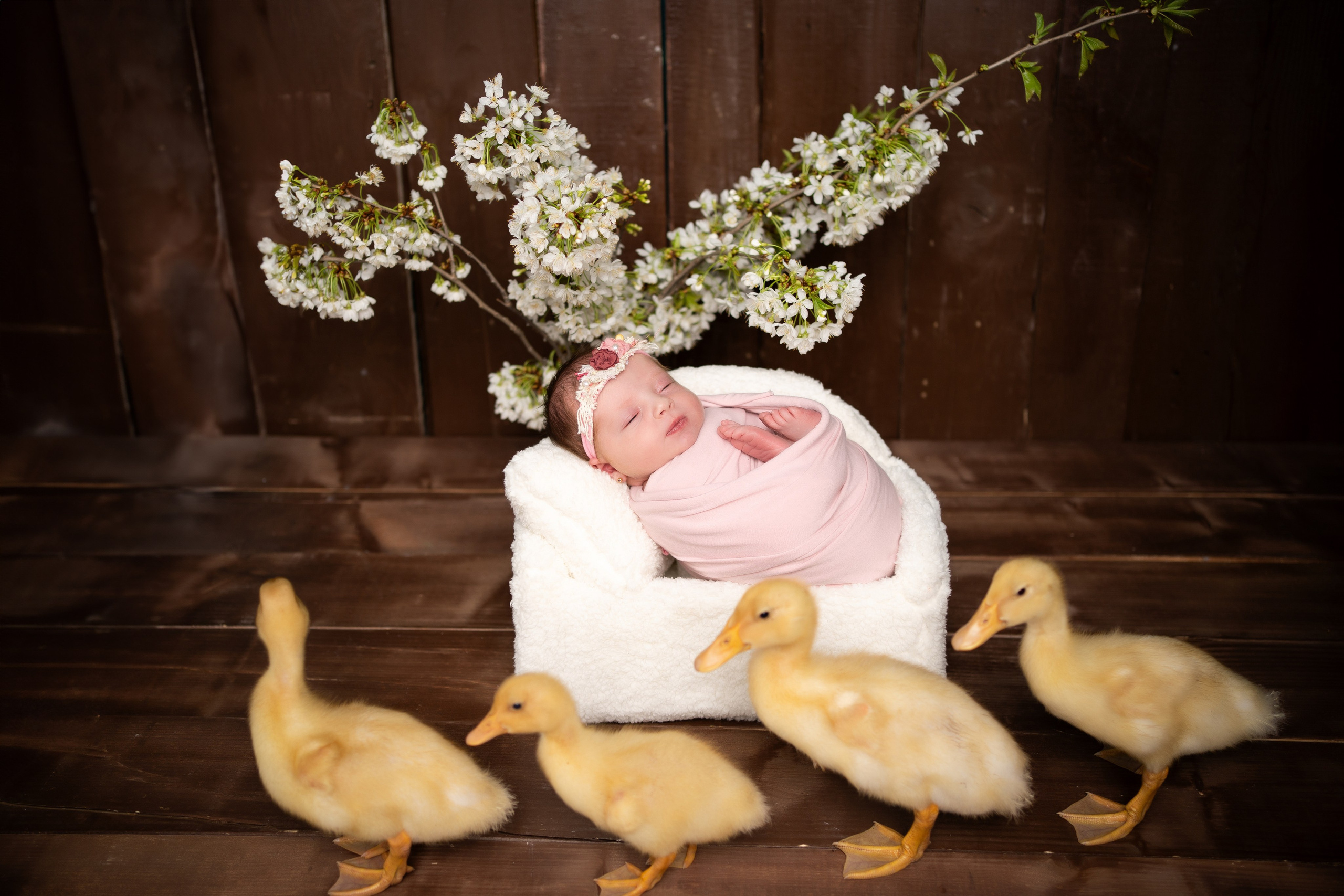 NEWBORN. BabyBumpbyCristinaH