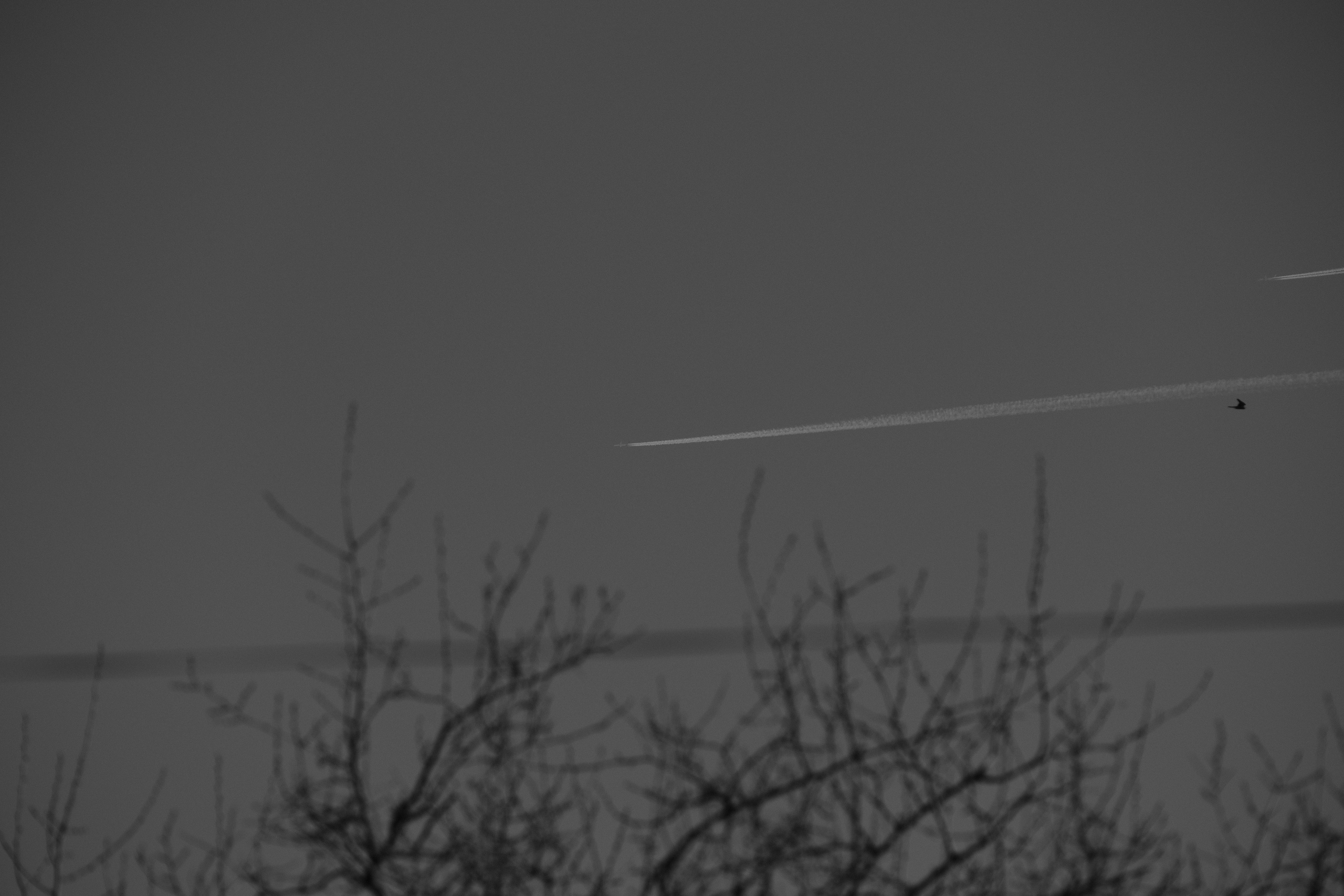 B&W ACROS + G. @Gio.Fujifilm official Fujifilm Ambassador & X-Photographer in Georgia