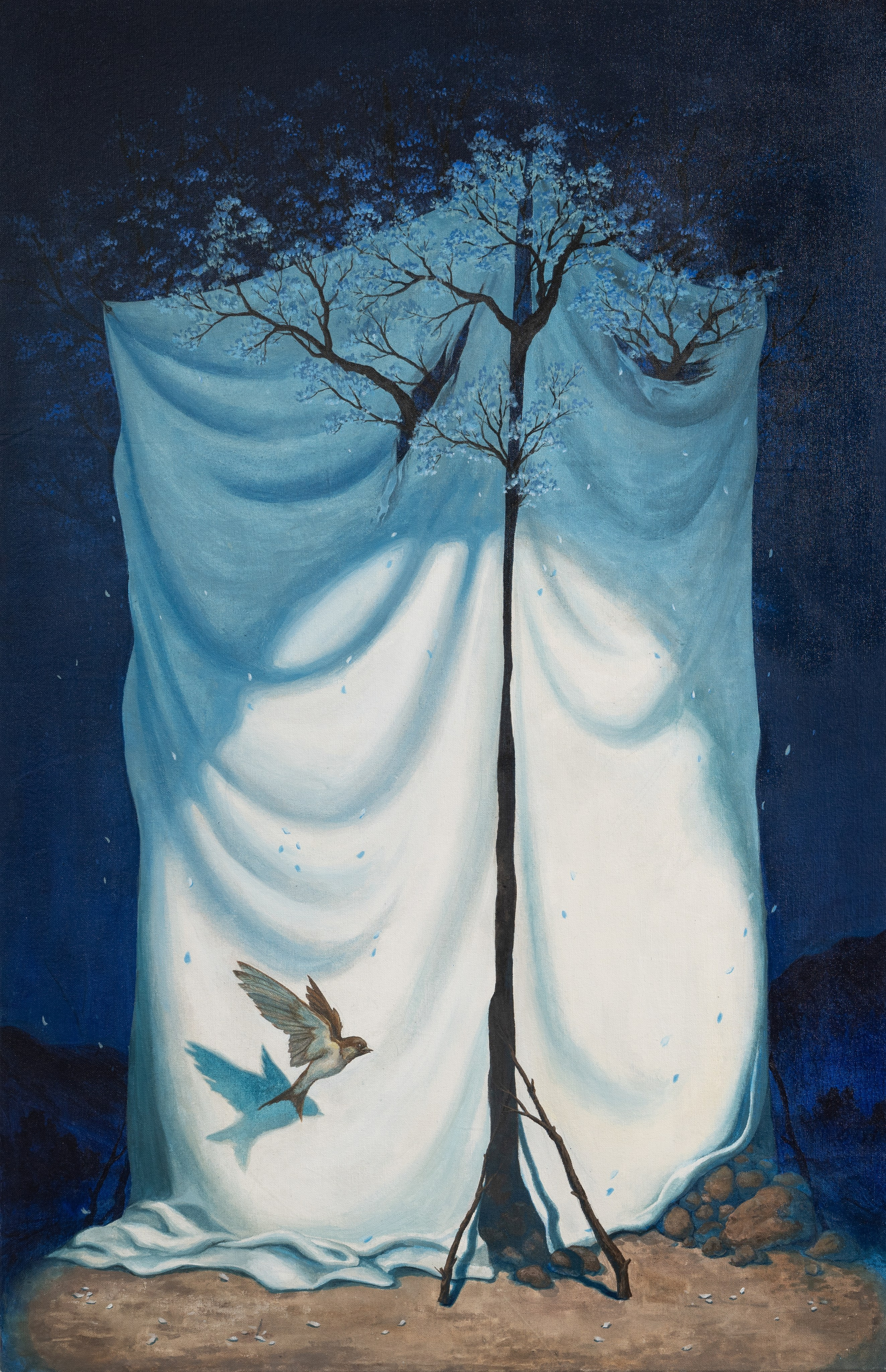 Équilibre provisoire.2026. Yujoo HONG