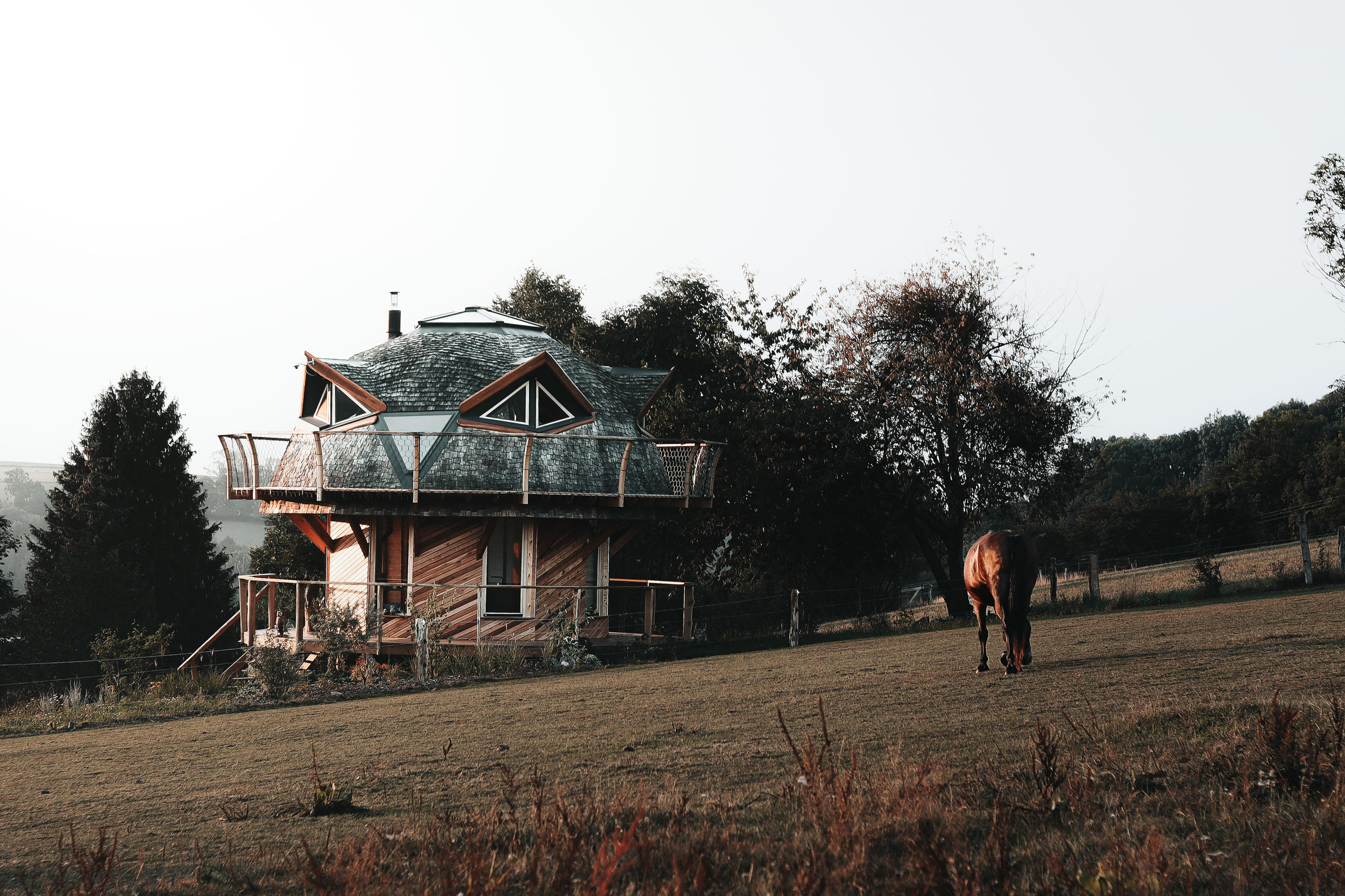 Moudrosti moudrých duší. Dana Lišková — Empatická fotografka | Introspektivní umělkyně | Neurodivergentní koučka| Zakladatelka Artepy.cz