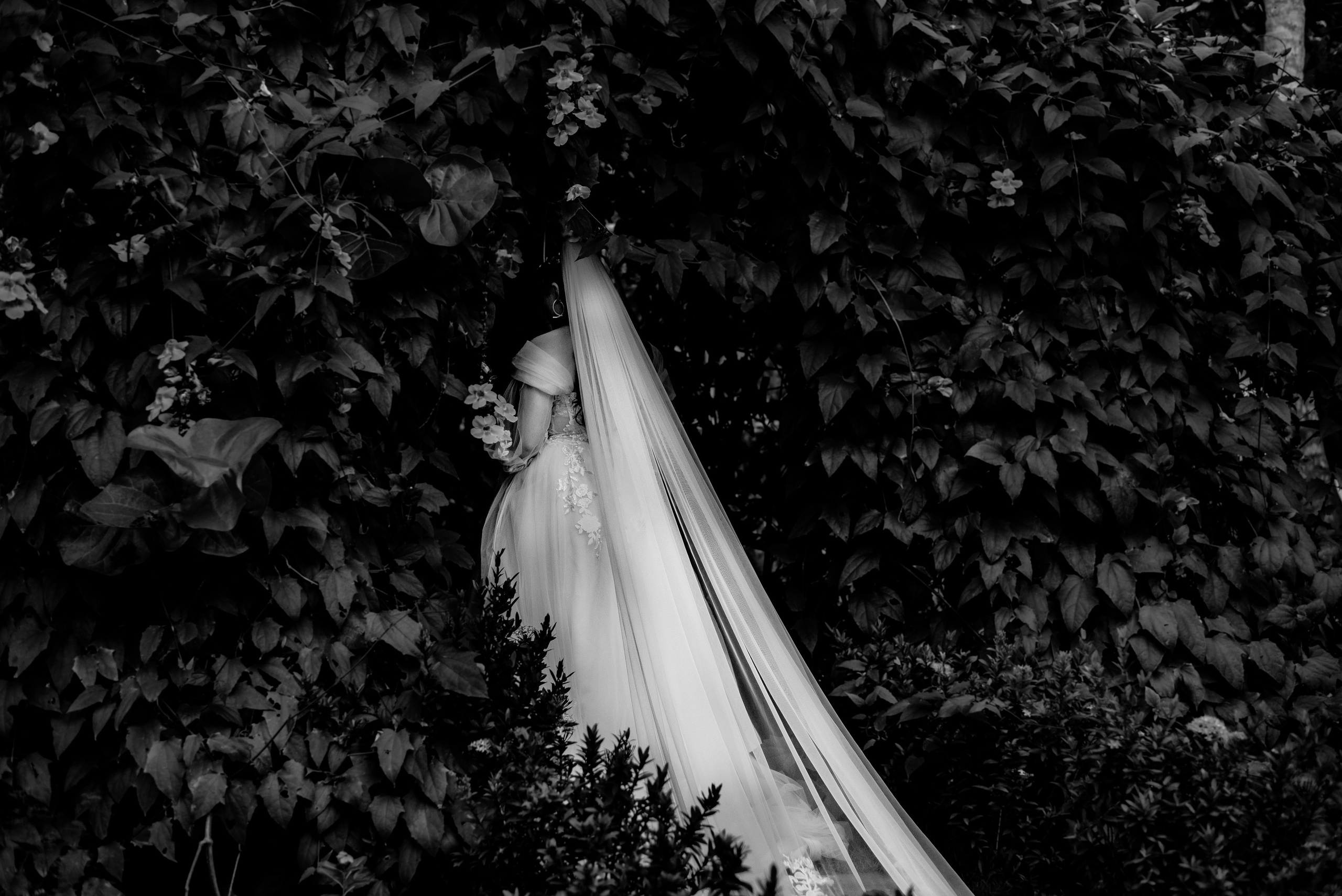 Fotógrafos de bodas en Barranquilla, Cartagena y Santa Marta | BanderArt