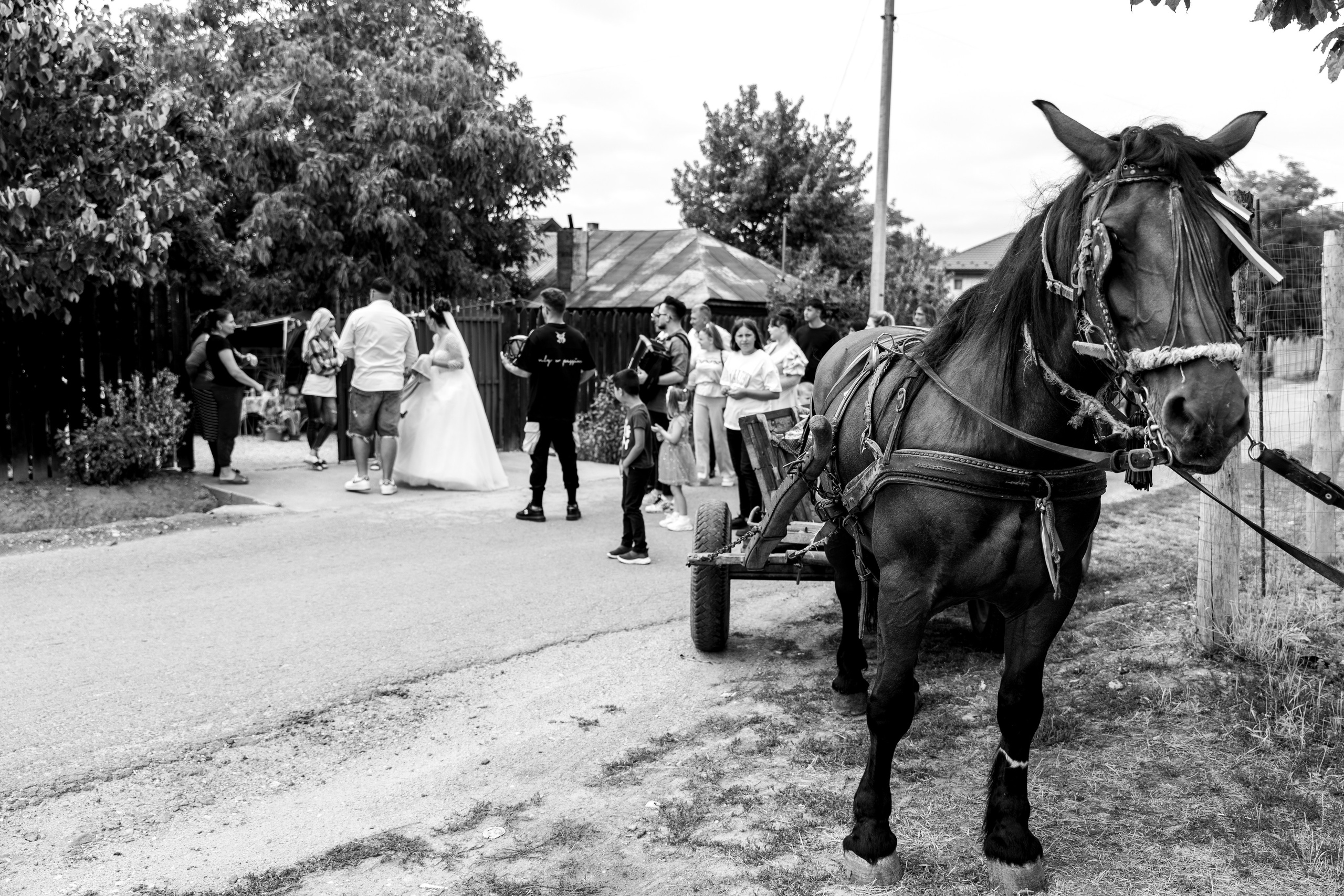 Madalina & Adrian. Fotograf evenimente, fotograf nunta, fotograf botez