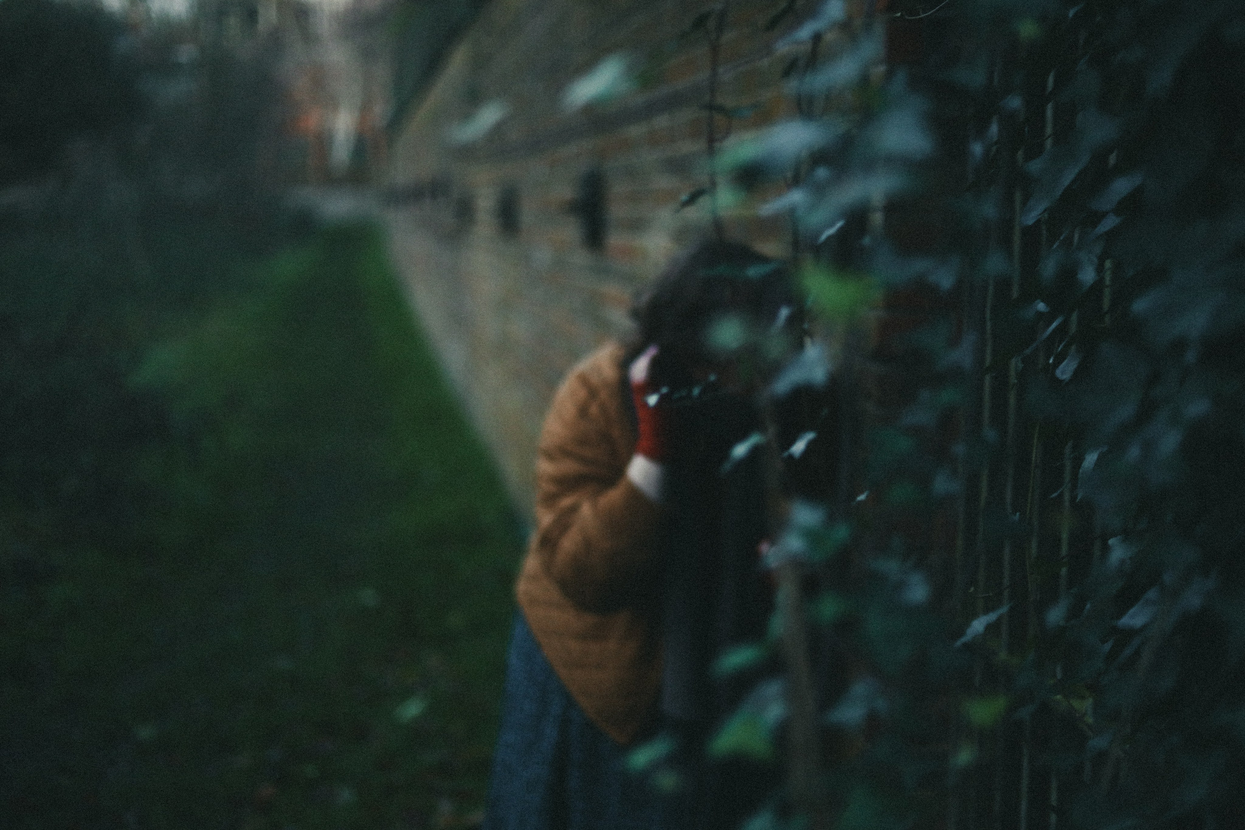 Zoe Hampstead Heath. Victoria Dini. Art photography in London / Folkestone, UK