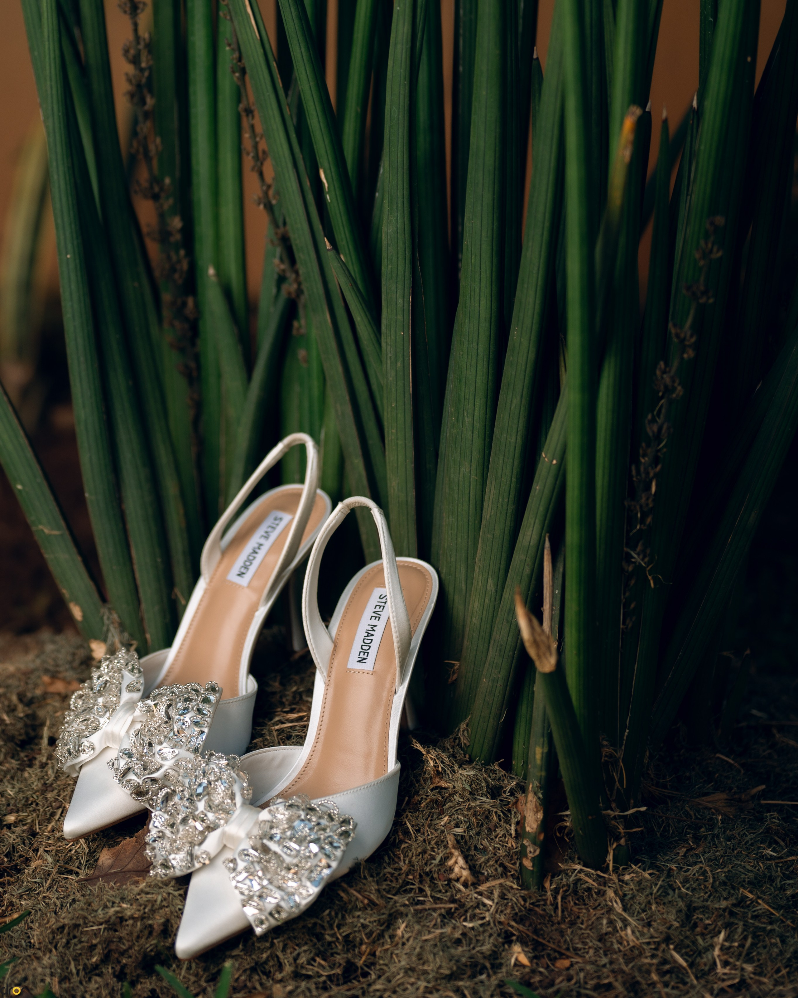 Dror Studios | Weddings| Portraits | Commercial Photography