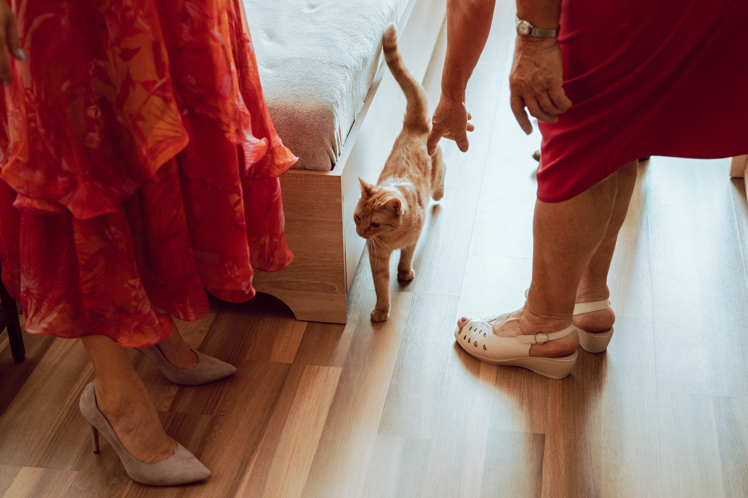 Weronika&Paweł, czyli samym kotem żyje człowiek. Karkowskafoto - fotografia miłości