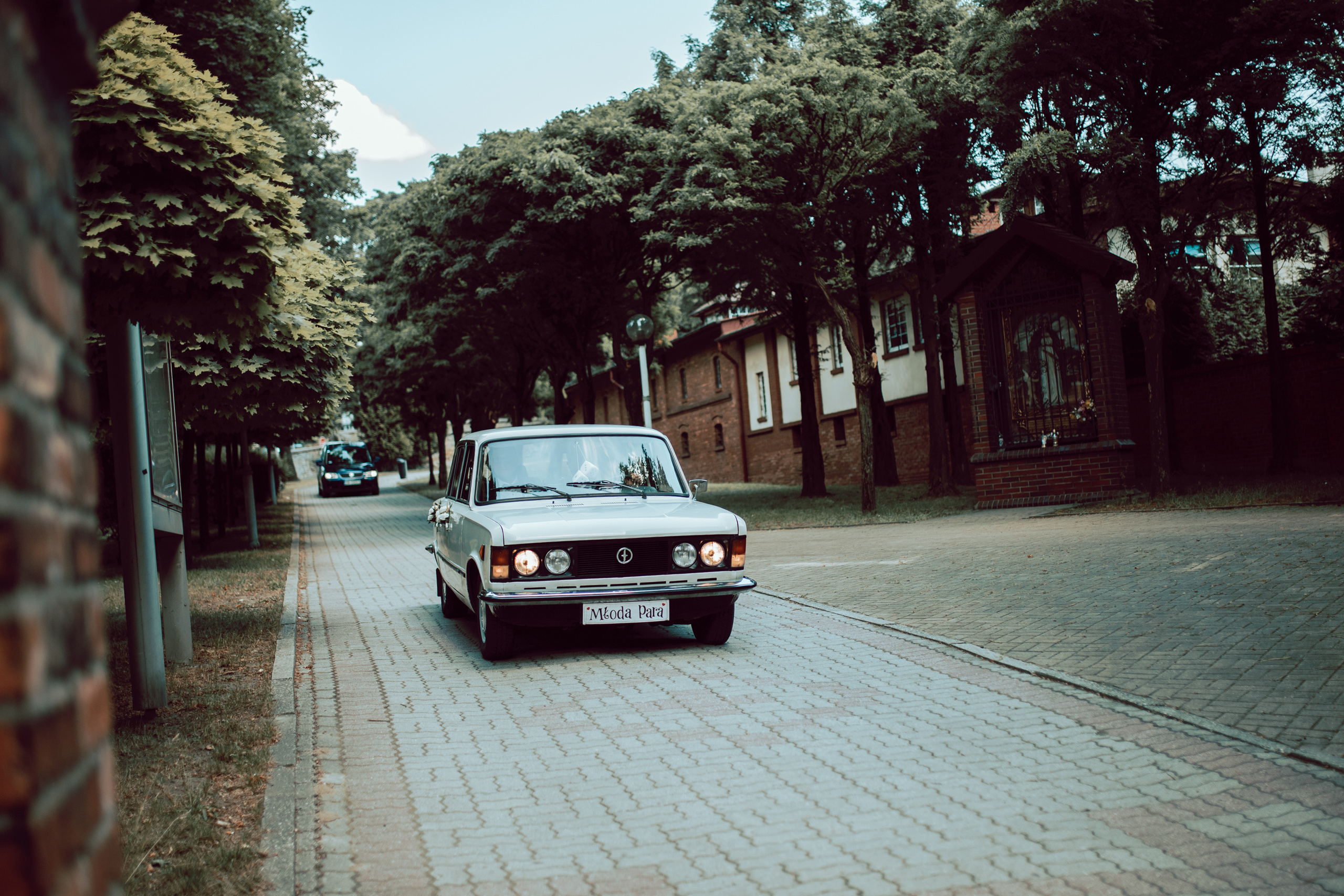 Weronika&Paweł, czyli samym kotem żyje człowiek. Karkowskafoto - fotografia miłości