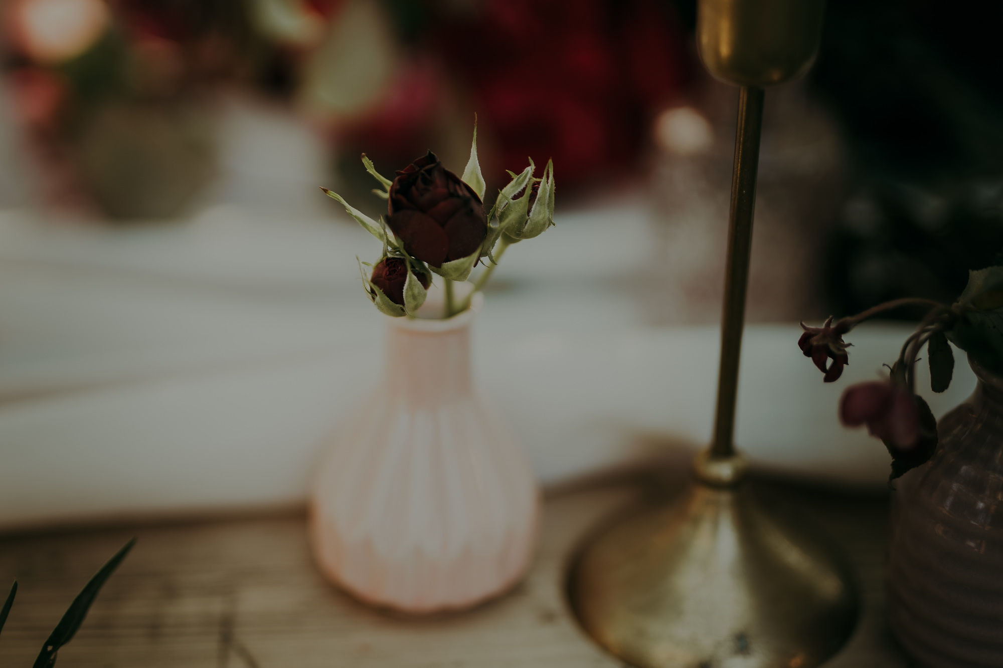 Sesja stylizowana w Wiśniowym Sadzie. Karkowskafoto - fotografia miłości