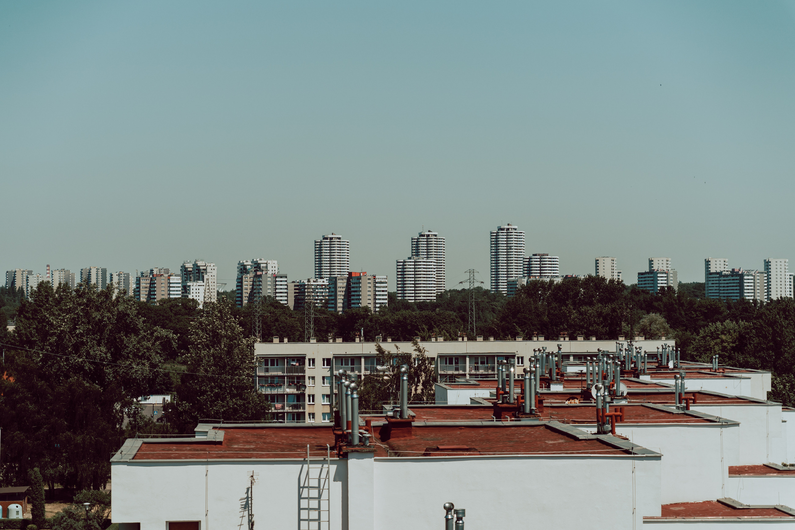 Weronika&Paweł, czyli samym kotem żyje człowiek. Karkowskafoto - fotografia miłości