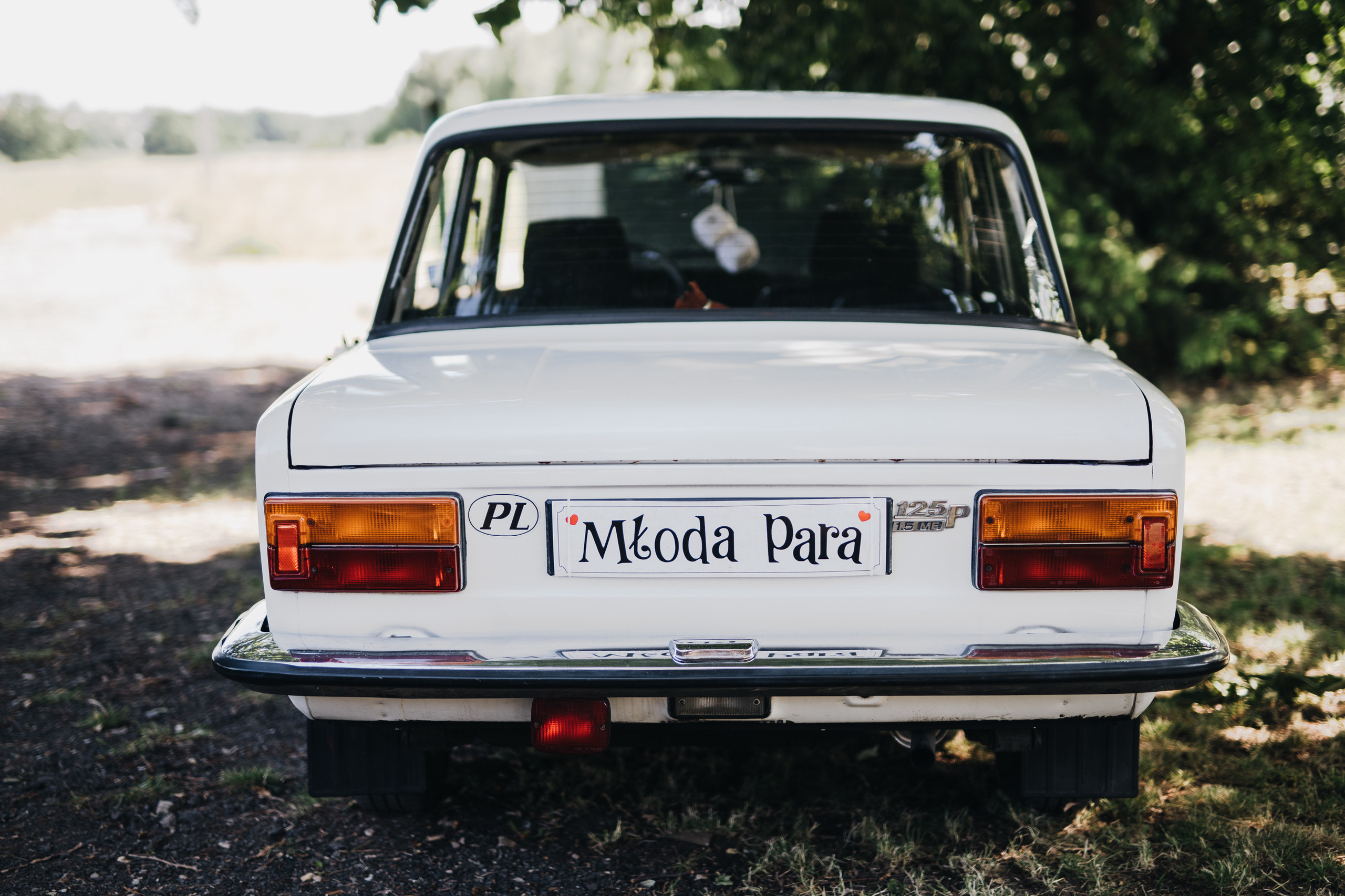 Weronika&Paweł, czyli samym kotem żyje człowiek. Karkowskafoto - fotografia miłości