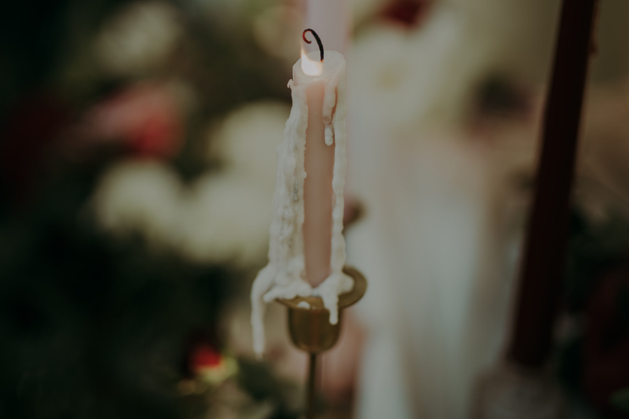 Sesja stylizowana w Wiśniowym Sadzie. Karkowskafoto - fotografia miłości