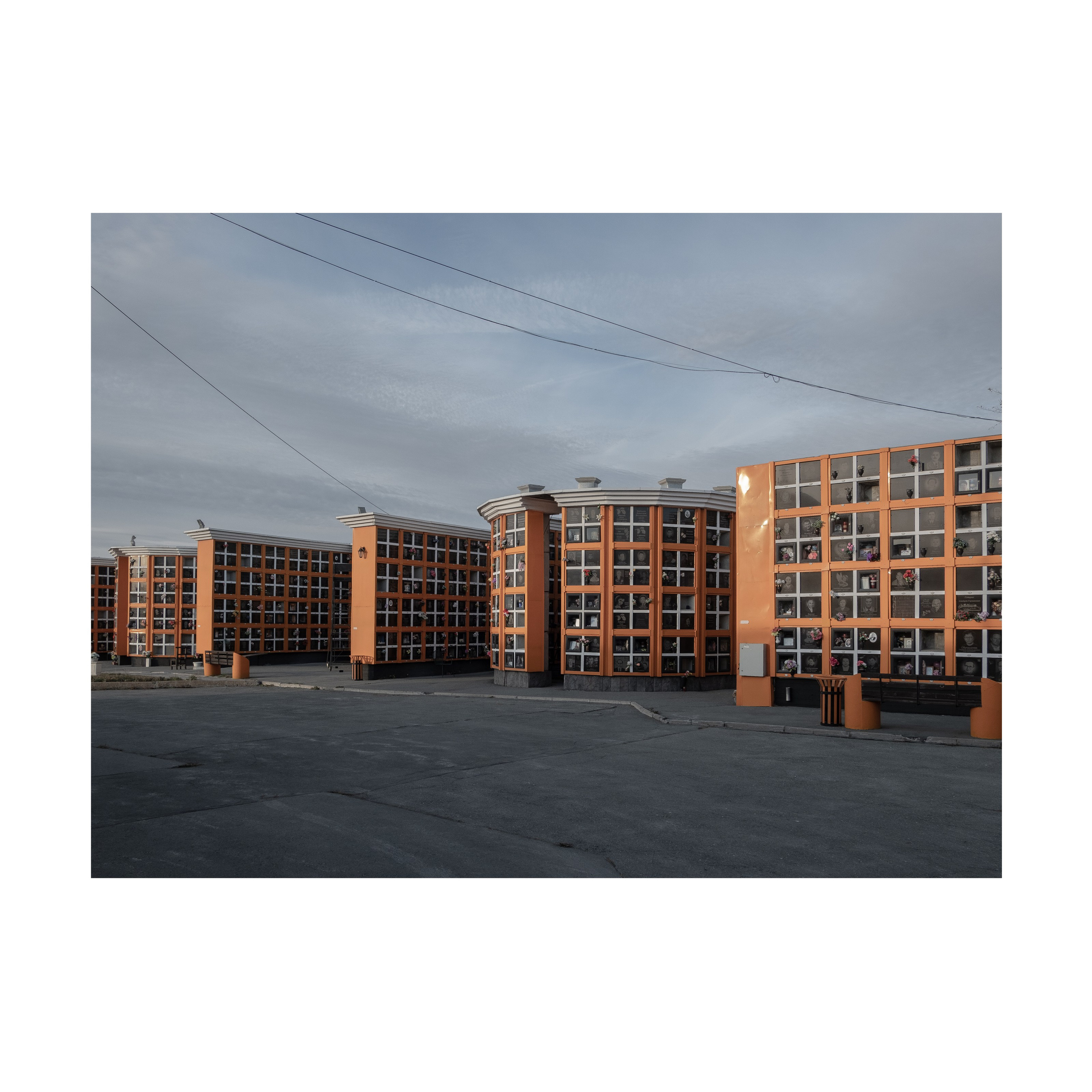 Phoenix. Nelly Elagina