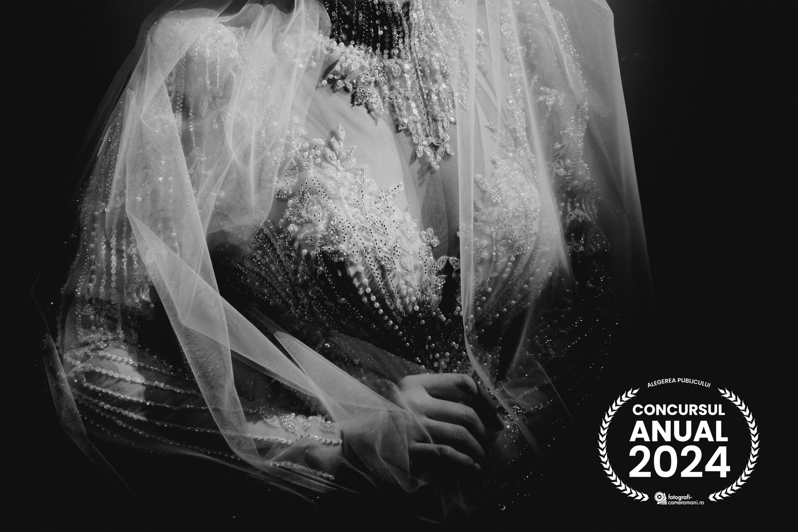 Stefan Teodorescu — Fotograf de Nunta