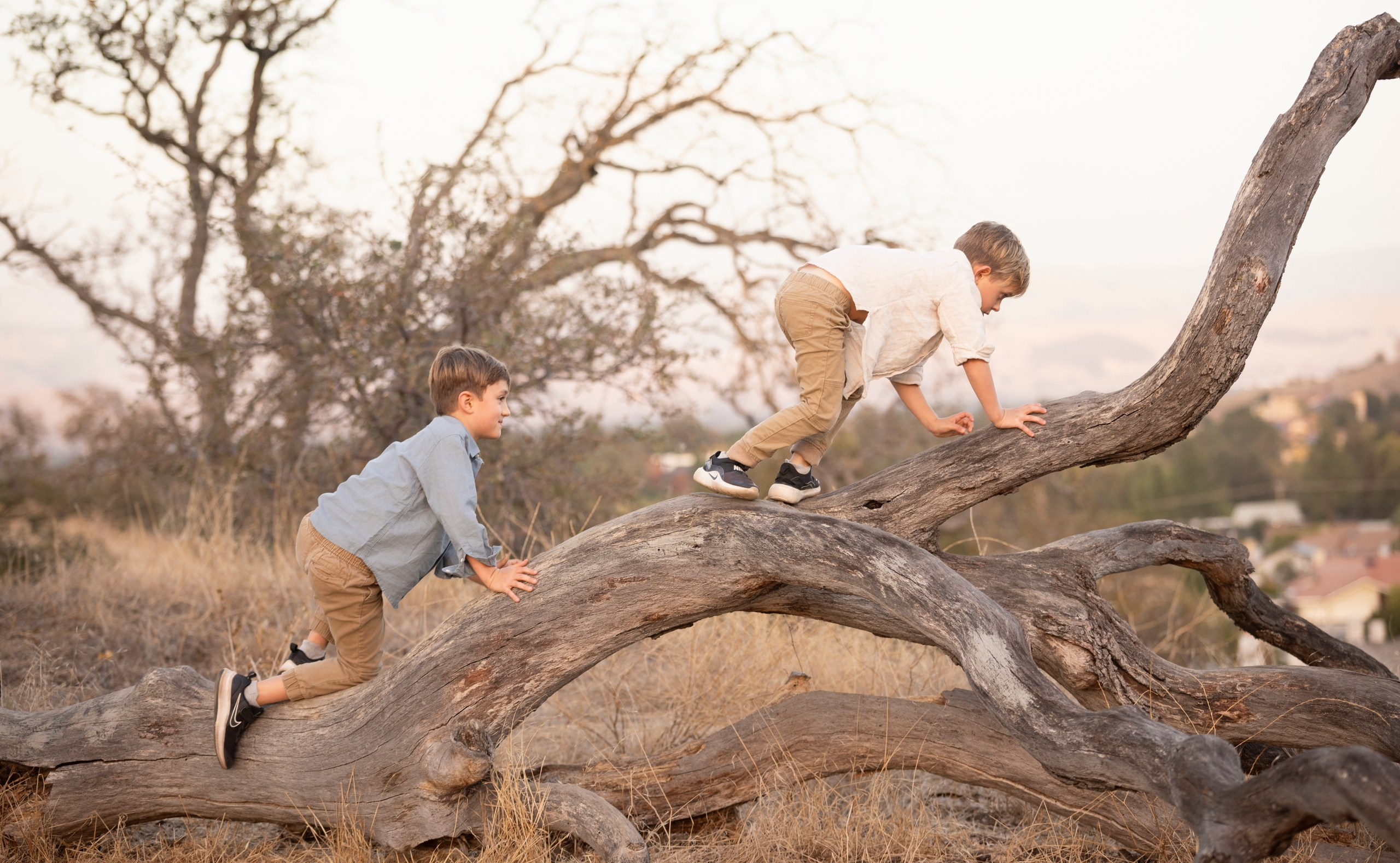An Evening in Gold (Classic Family Session). Levantera Photo San Francisco Bay Area Photographer Natalia