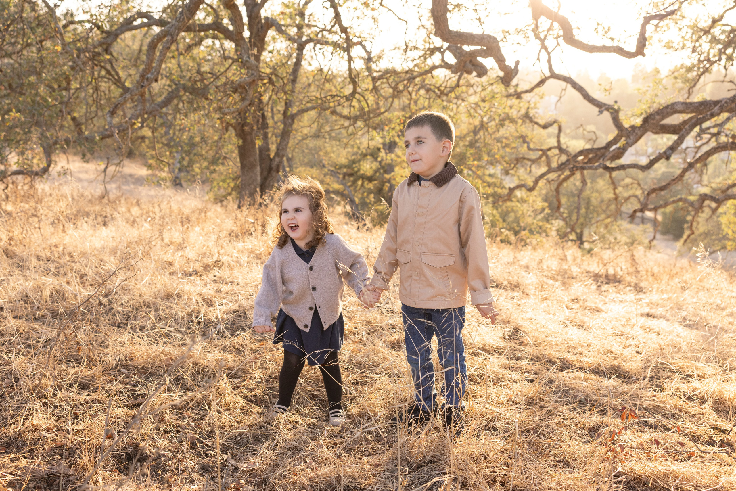 Under the Oaks. Levantera Photo San Francisco Bay Area Photographer Natalia