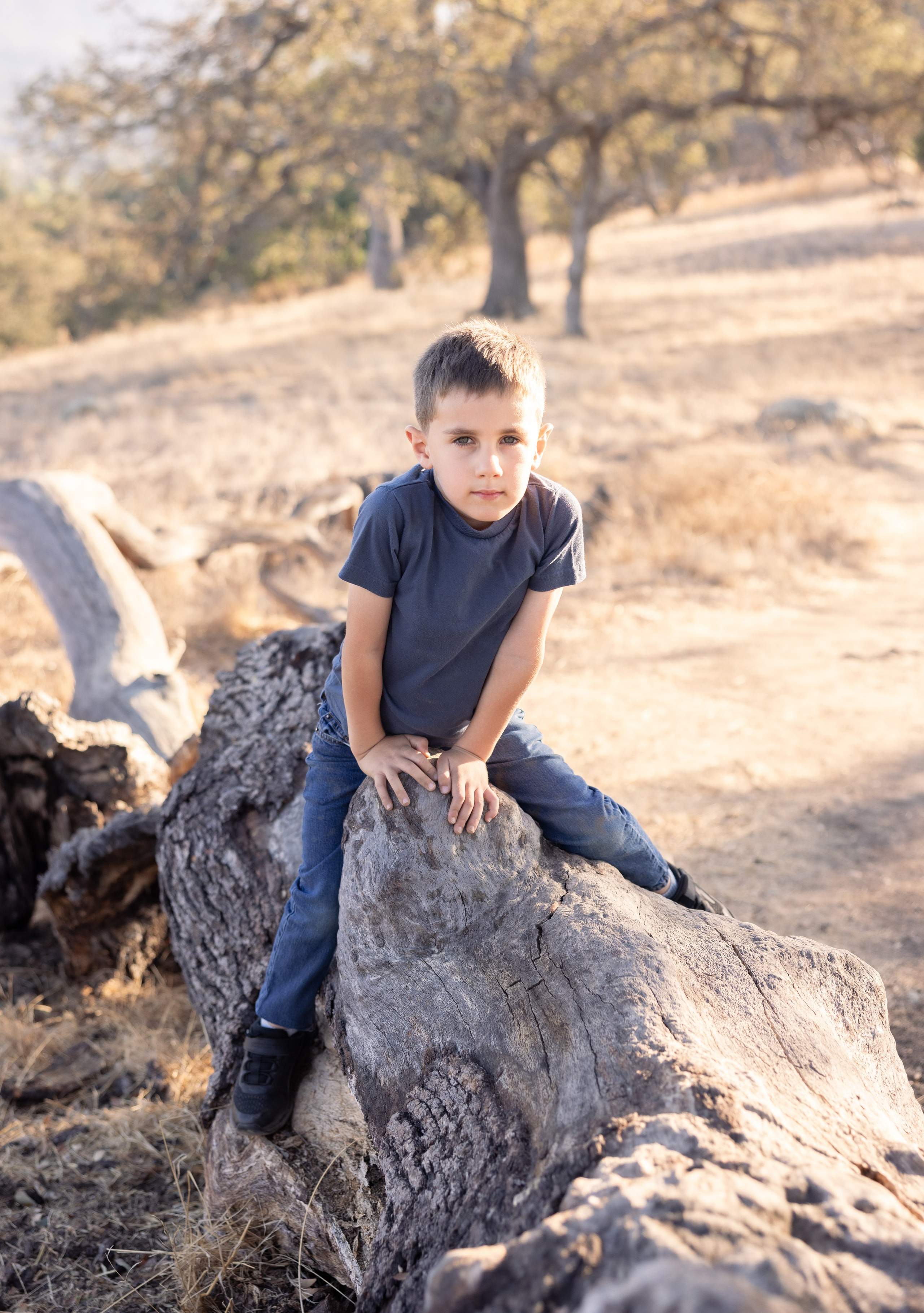 Under the Oaks. Levantera Photo San Francisco Bay Area Photographer Natalia