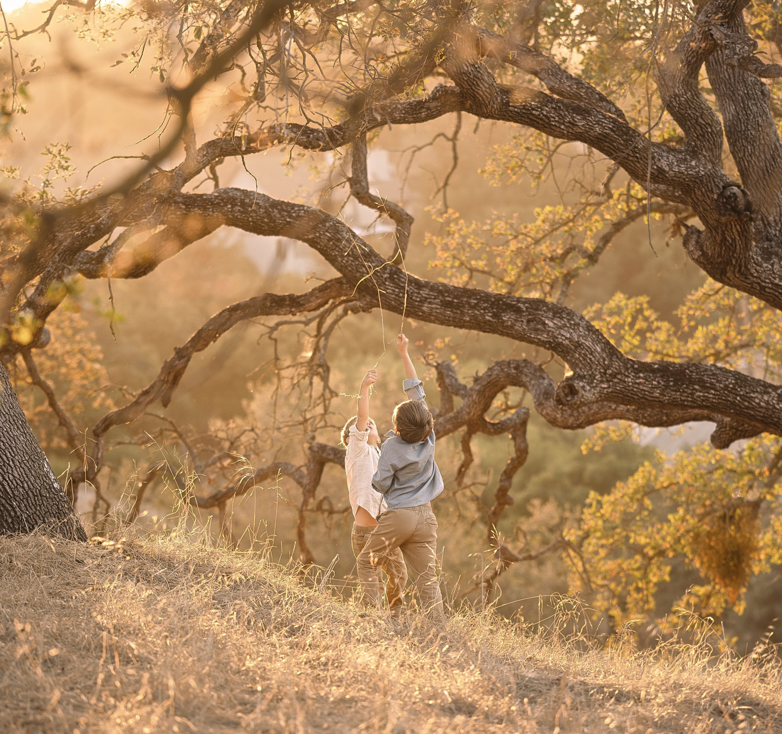 An Evening in Gold (Classic Family Session). Levantera Photo San Francisco Bay Area Photographer Natalia
