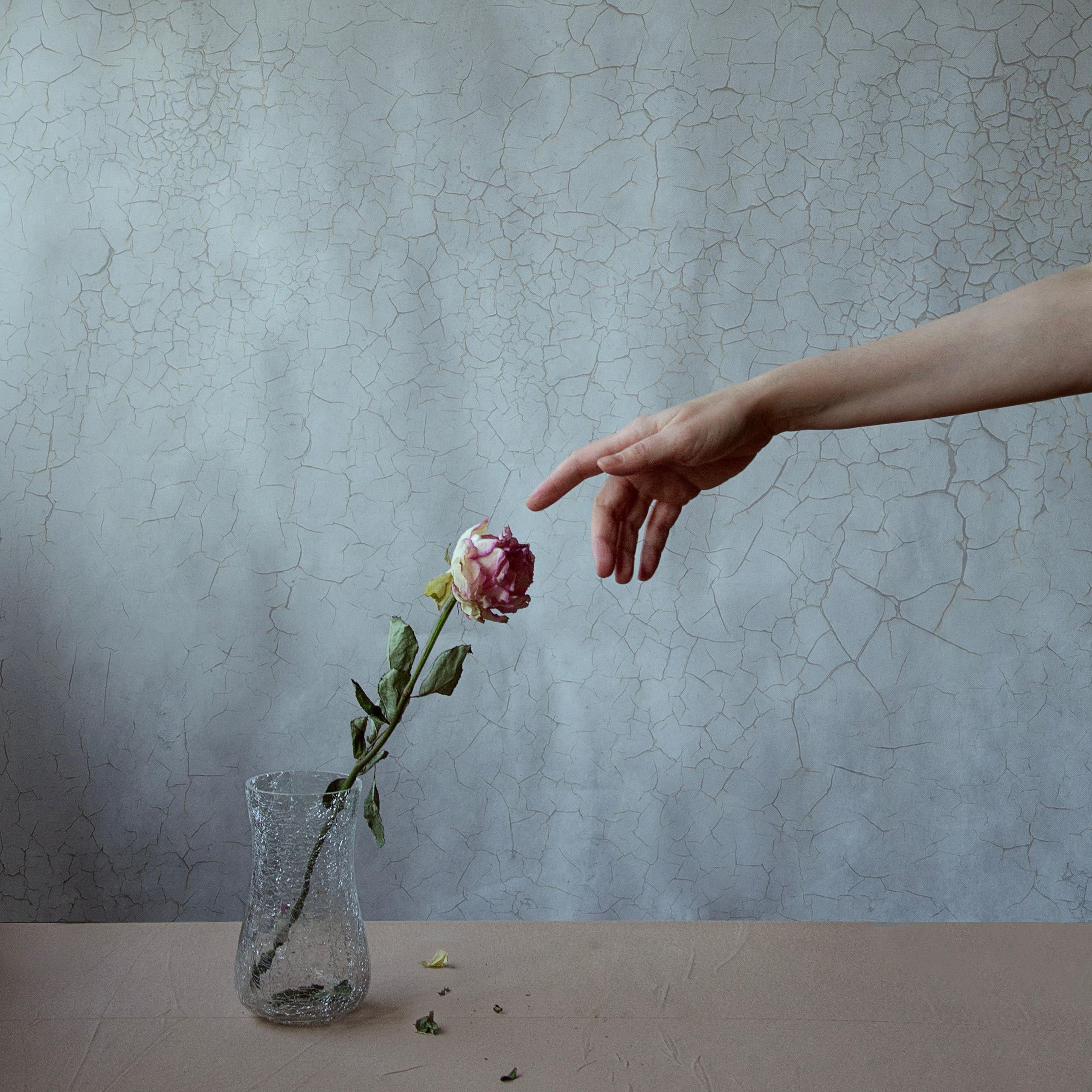 Fine-Art-Fotografie Blog – Kunstvolle Porträts, Inspiration und Tipps aus Augsburg & München. Foto Art Anna Fast