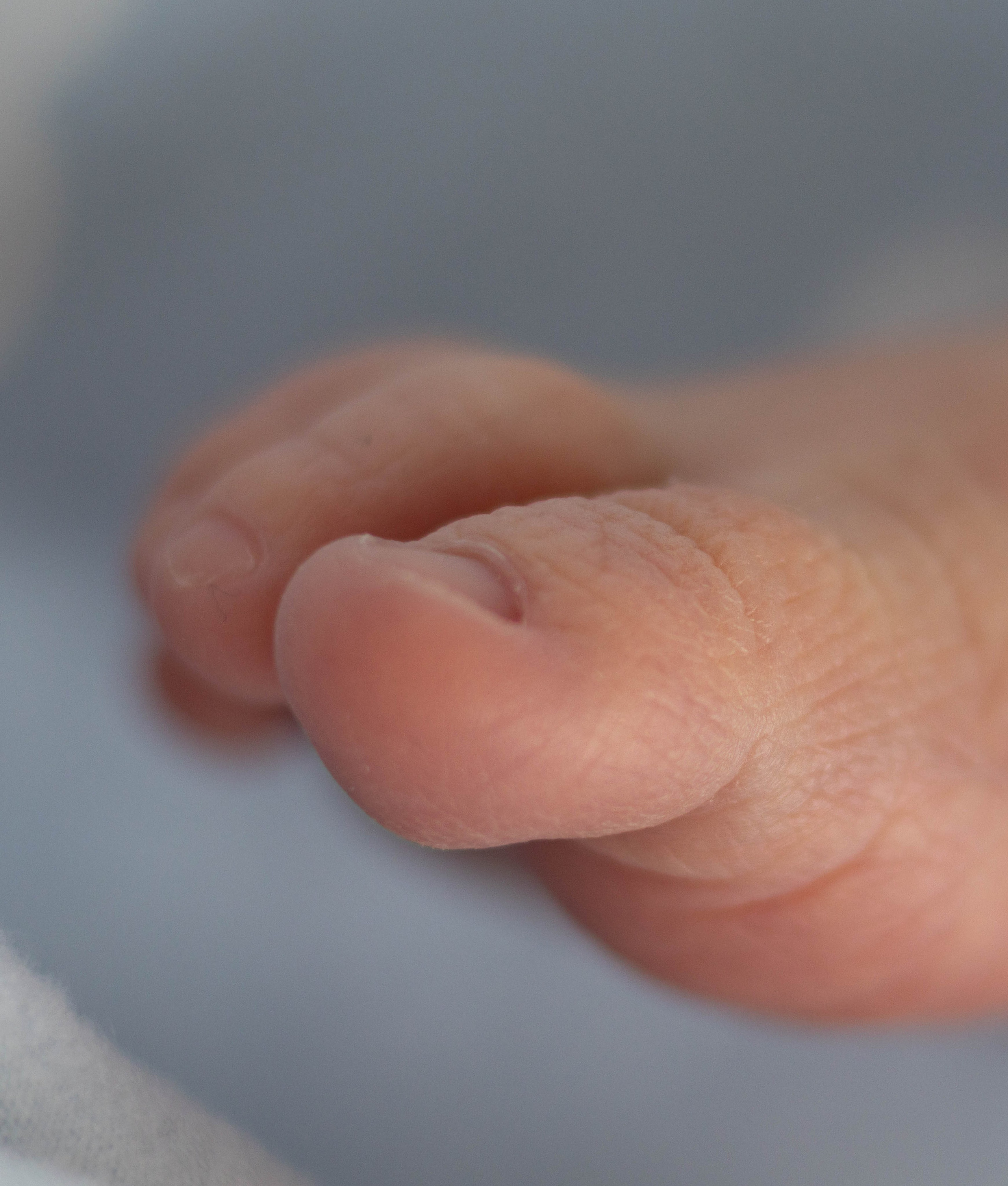 Zwangerschapsfotografie, newborn, gezinnen, branding, liefde én geboortefotografie