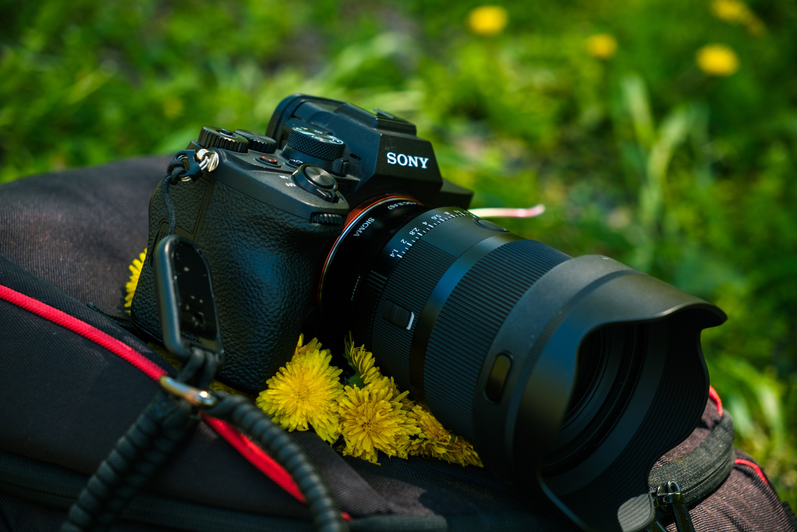 Вторая версия объектива Sigma 35 mm F1.4 DG Art. Обзор и опыт использования. Фотограф Григорий Кравец