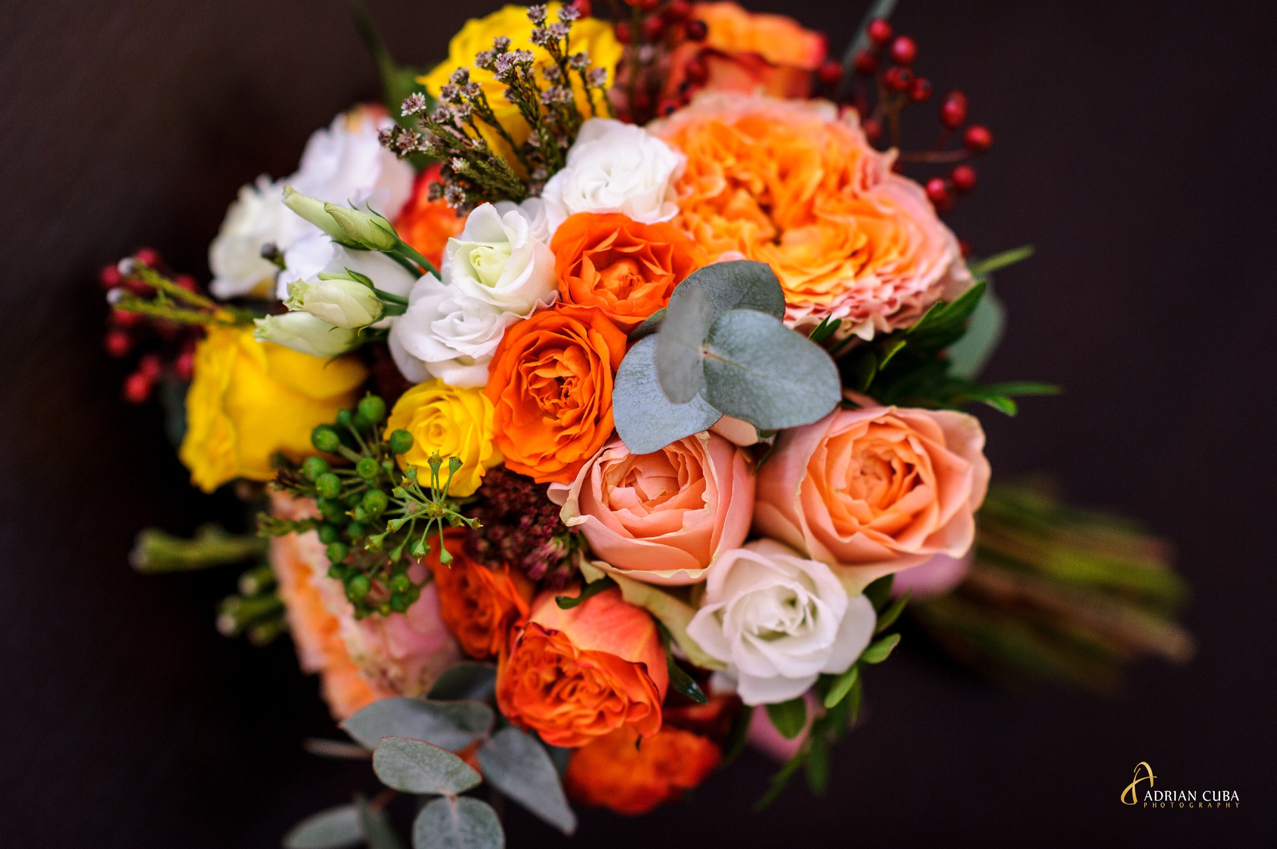 Fotograf nunta Iasi | Adrian Cuba — servicii profesionale de fotografie de nunta