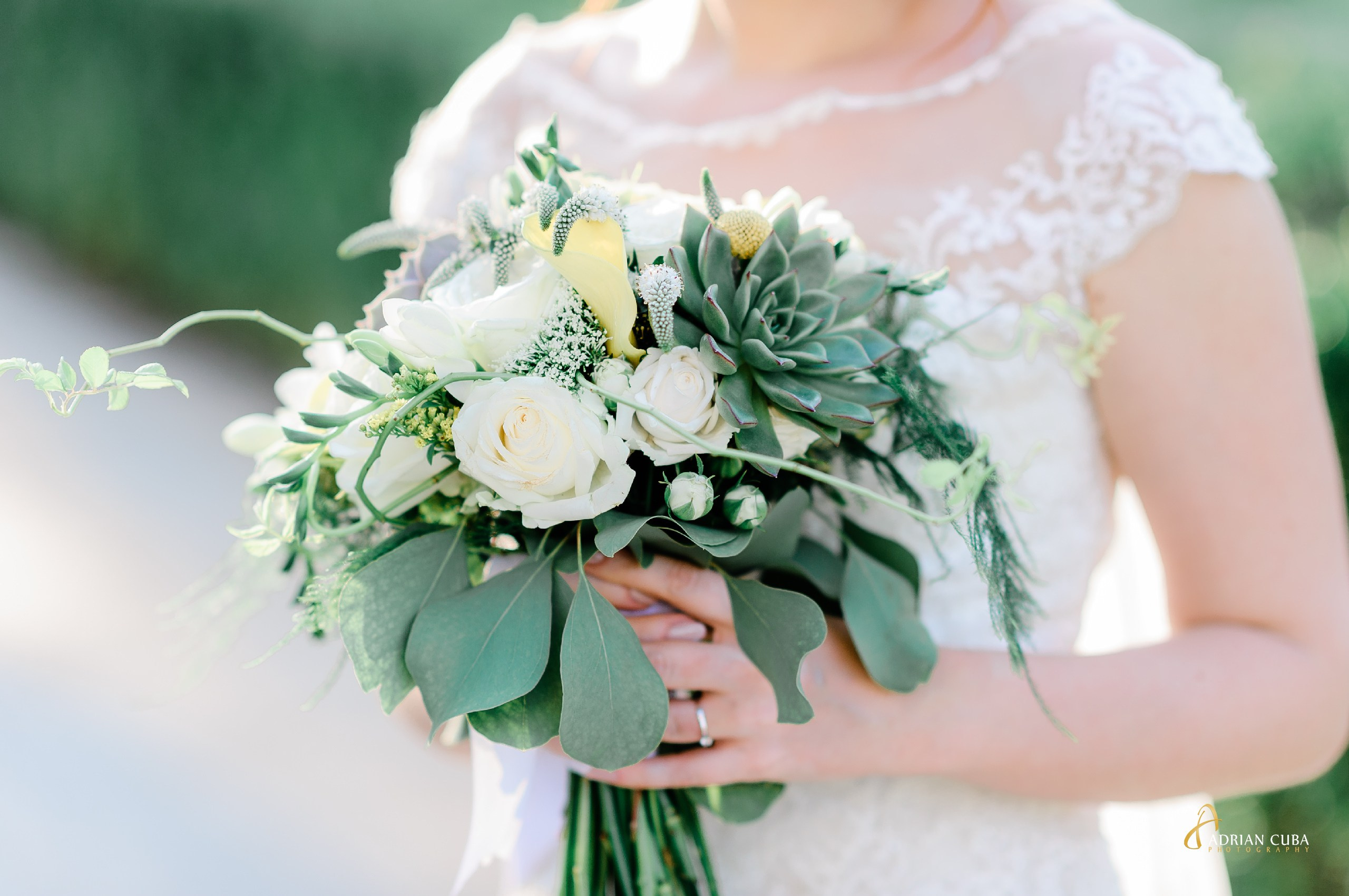 Fotograf nunta Iasi | Adrian Cuba — servicii profesionale de fotografie de nunta