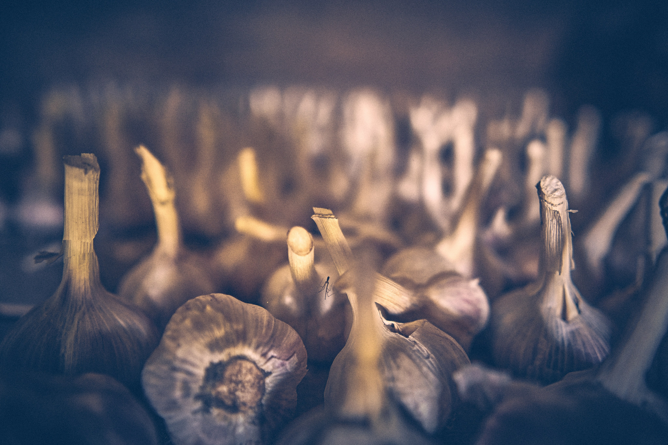 Chatka Pradziadka. Andriej Szypilow — Photography & Videography