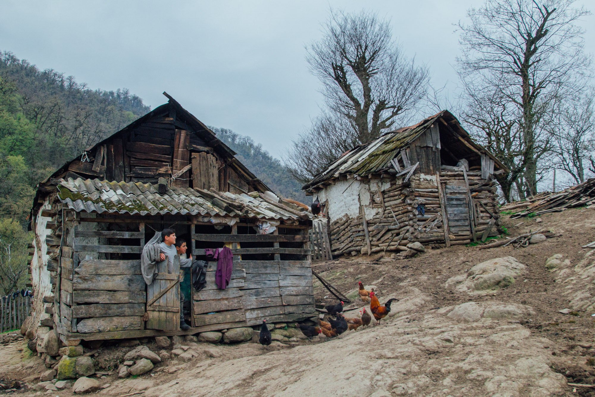Təbiət Fotoqrafiyası və Portret Çəkilişləri. Bakıda Peşəkar Tədbir, Love Story və Təbiət Fotoqrafı — Elşən Baba