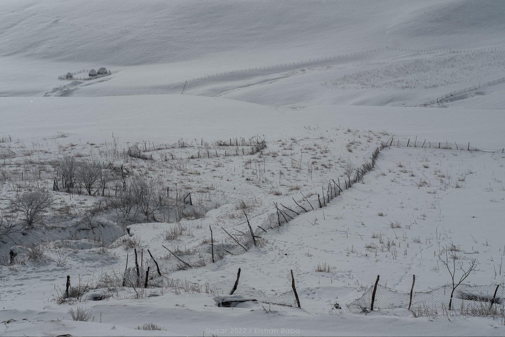Təbiət Fotoqrafiyası və Portret Çəkilişləri. Bakıda Peşəkar Tədbir, Love Story və Təbiət Fotoqrafı — Elşən Baba