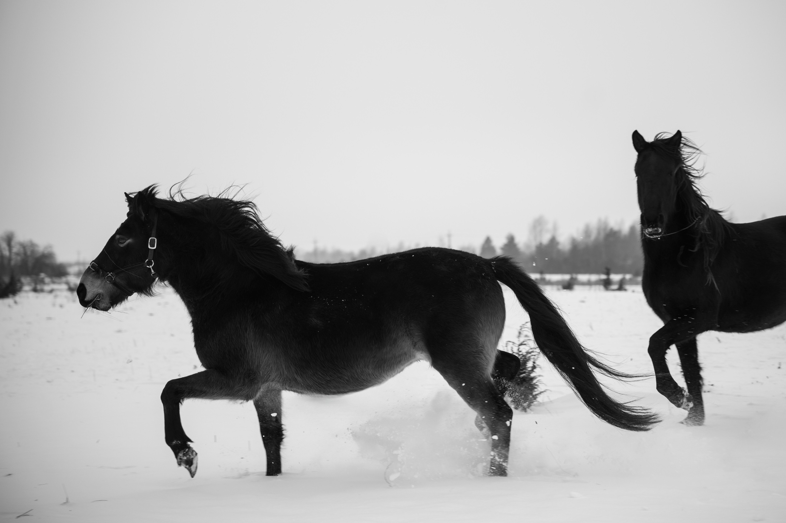 Семья/пара. Фотограф Таллинн — свадьба |семья | lovestory