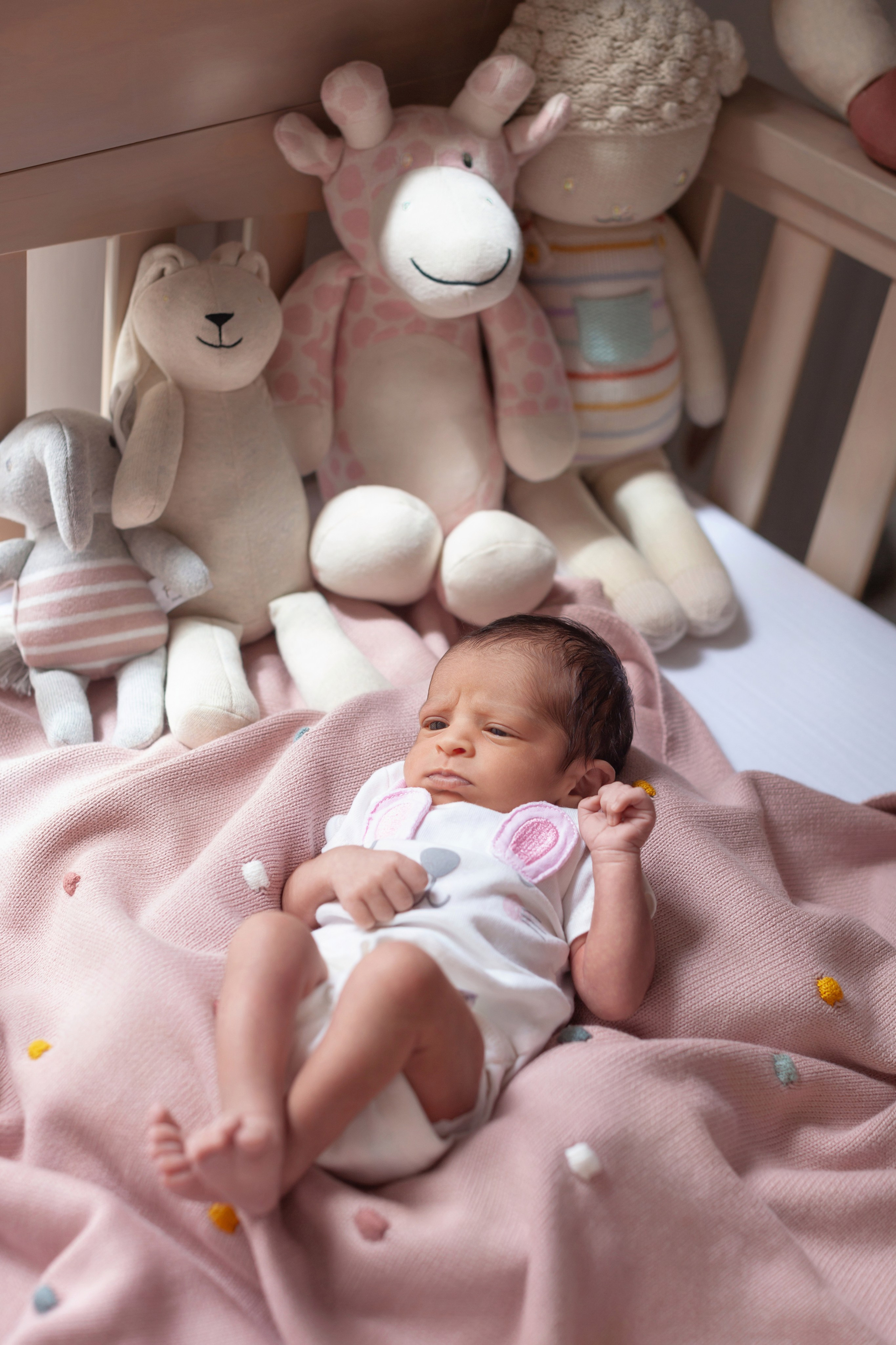 Services. Marina Pravda Photography San Francisco Bay Area