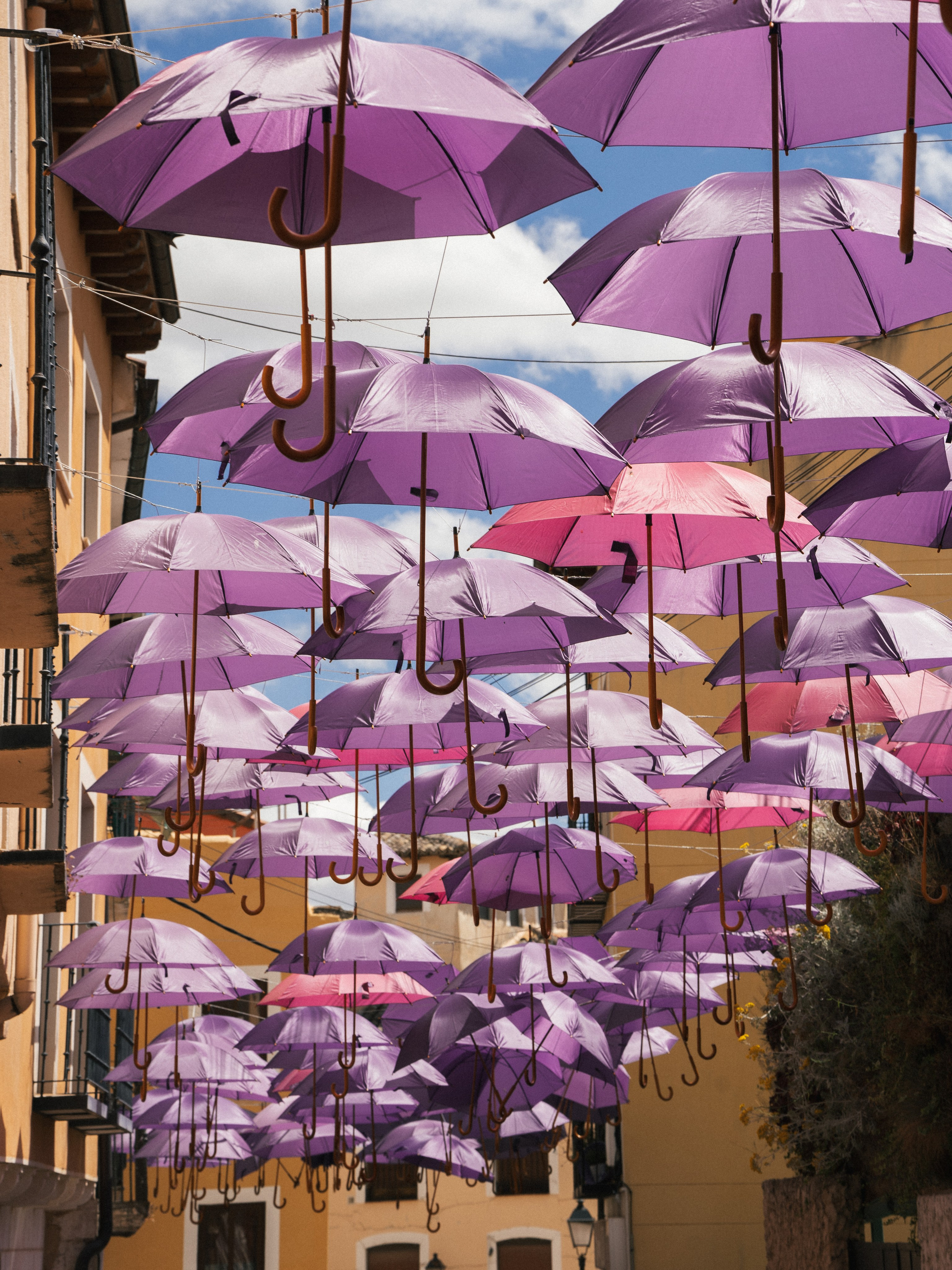 Galicia. Fotógrafo en Madrid, España. Alyona Belyaninova