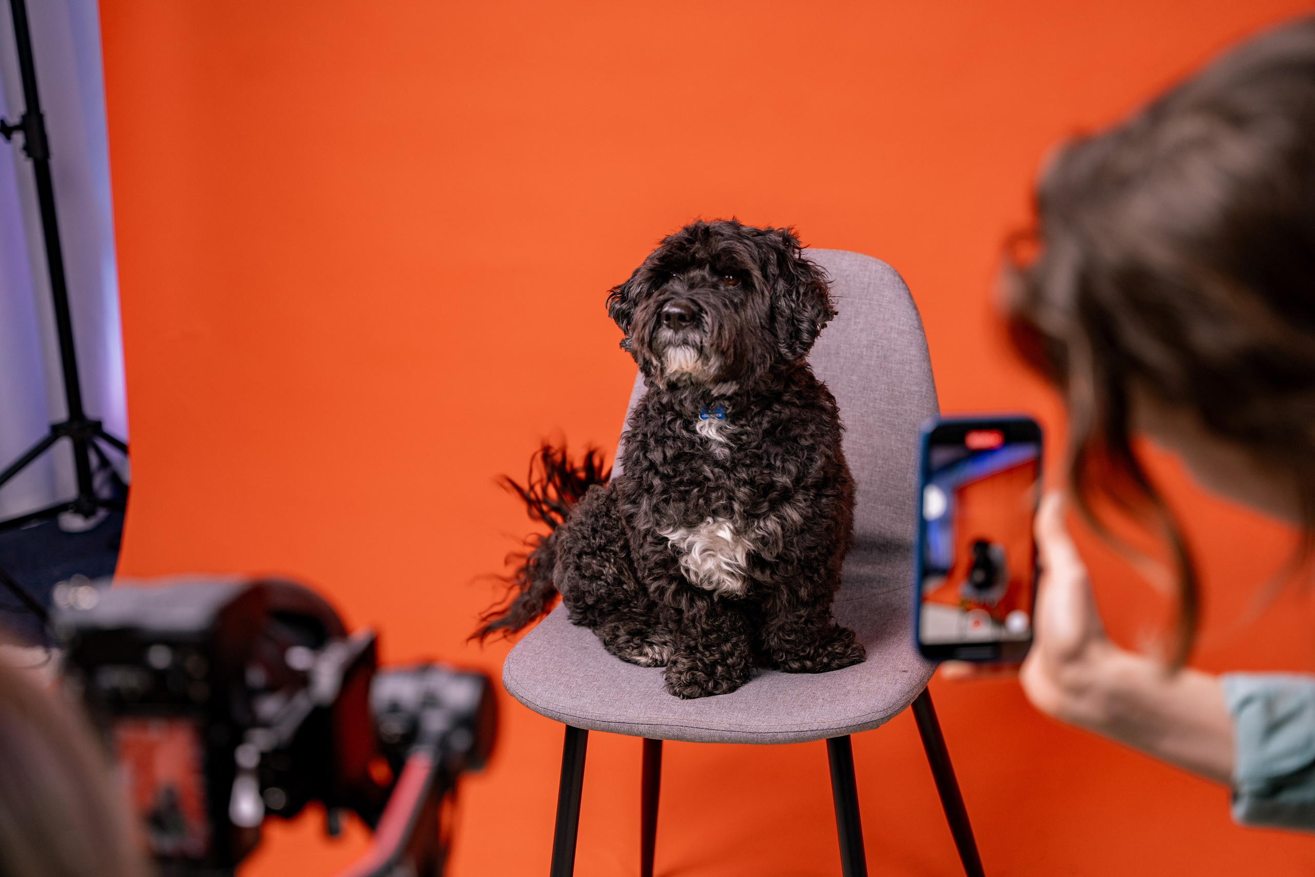 Media Agency Photoshoot — Raymond | Behind-the-Scenes Photography. Photographer in Chisinau — Raymond | Portraits, Events & Product Photography