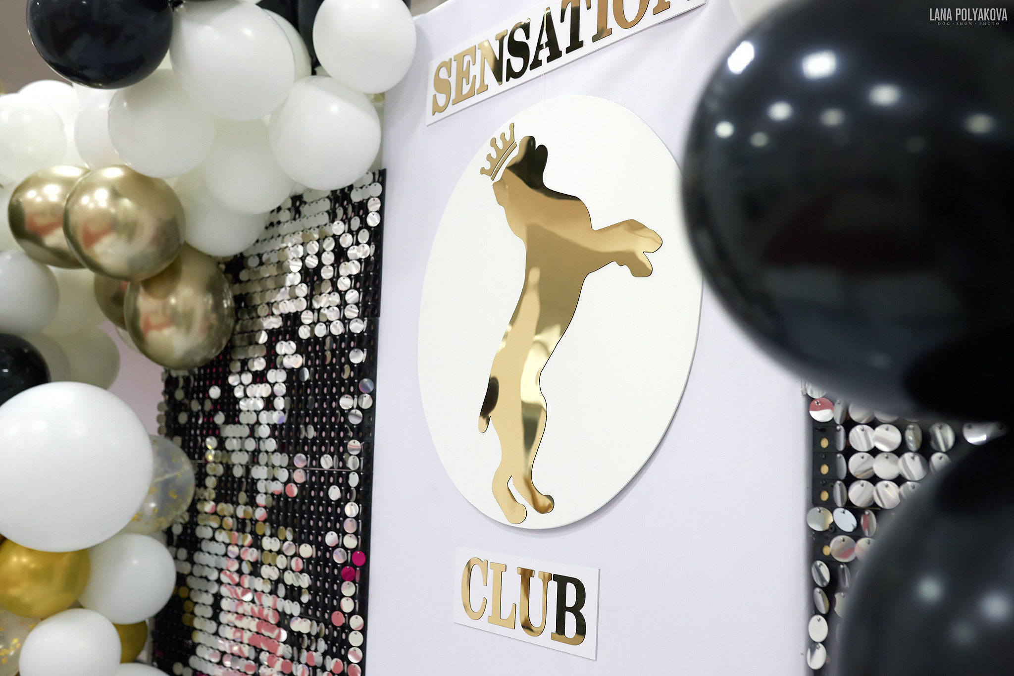 10-11.02.2024 ВЫСТАВКА СОБАК ВСЕХ ПОРОД (САС, ЧФ). Кинологический клуб РКФ РФСС СЕНСАЦИЯ