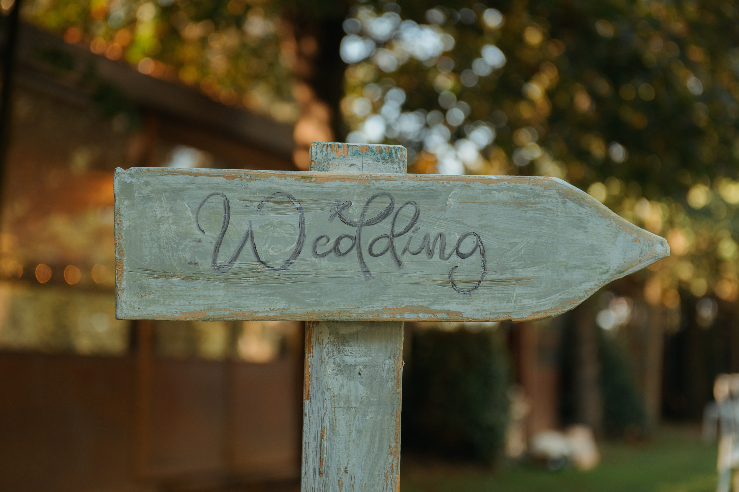 Matrimonio Simone e Federica. Anastasiia Buchinskaia Photographer in Milan