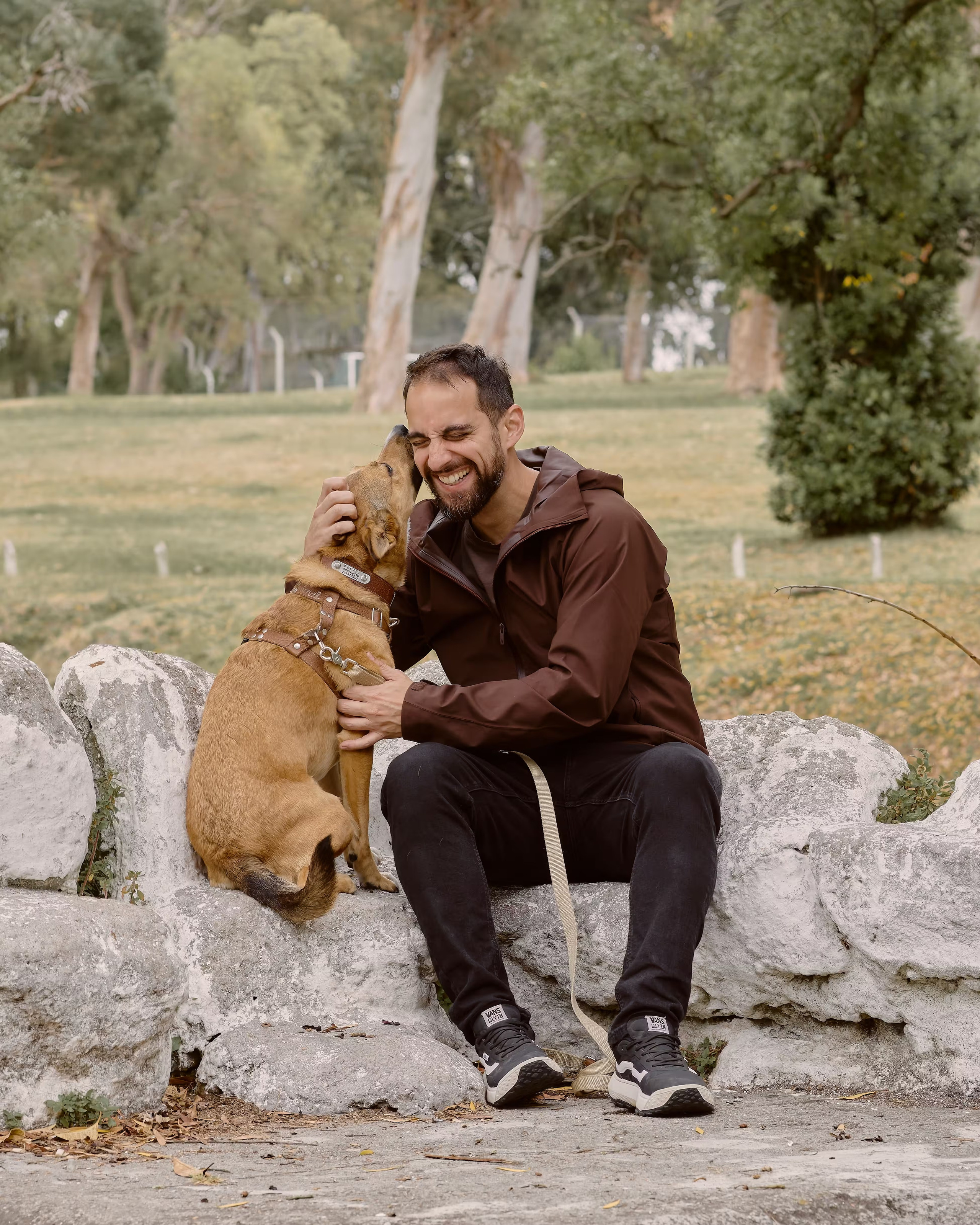 Valssy – Fotografía de mascotas en Uruguay. Retratos profesionales de perros y gatos
