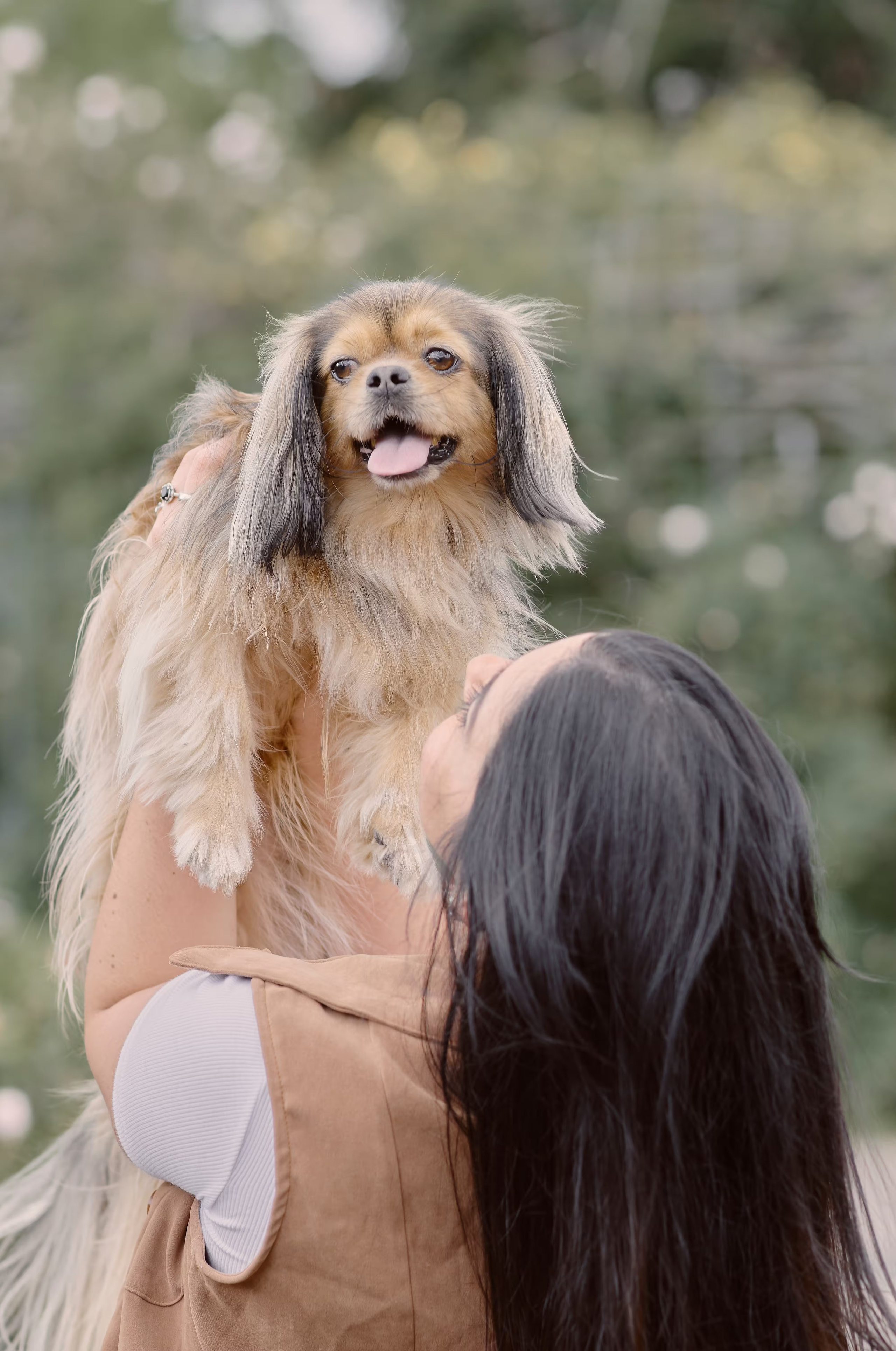 Valssy – Fotografía de mascotas en Uruguay. Retratos profesionales de perros y gatos