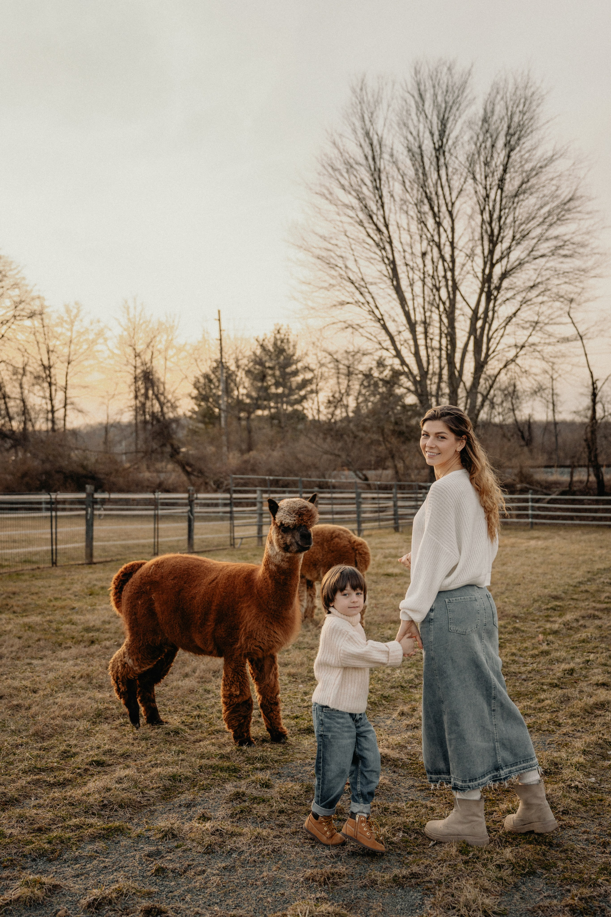 Unique Family Photography at an Alpaca Farm – Fun & Playful. Alisa Tant — Family and newborn photographer Bucks County, Montgomery county, Philadelphia, NJ